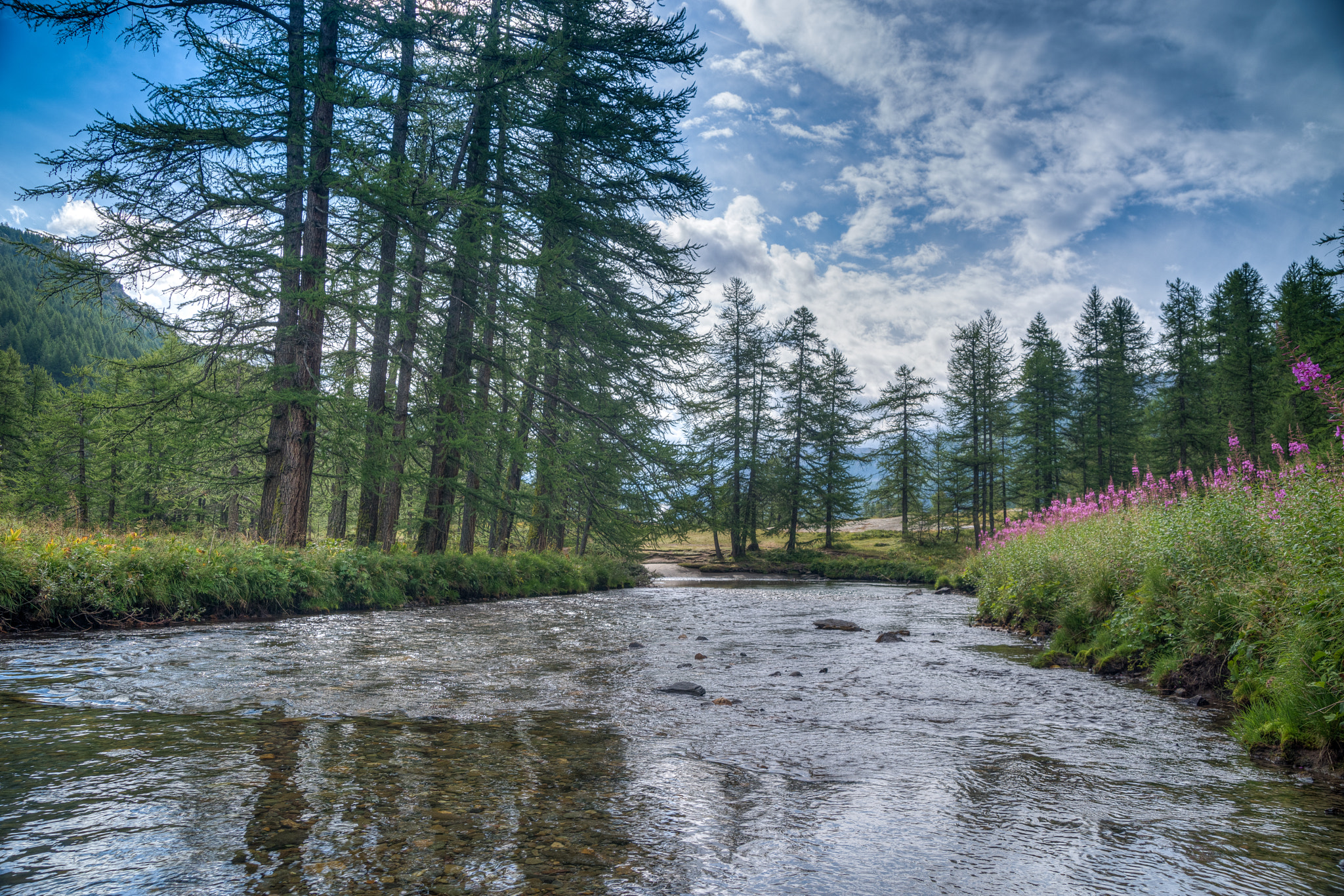 Pentax K-1 sample photo. Magic river photography