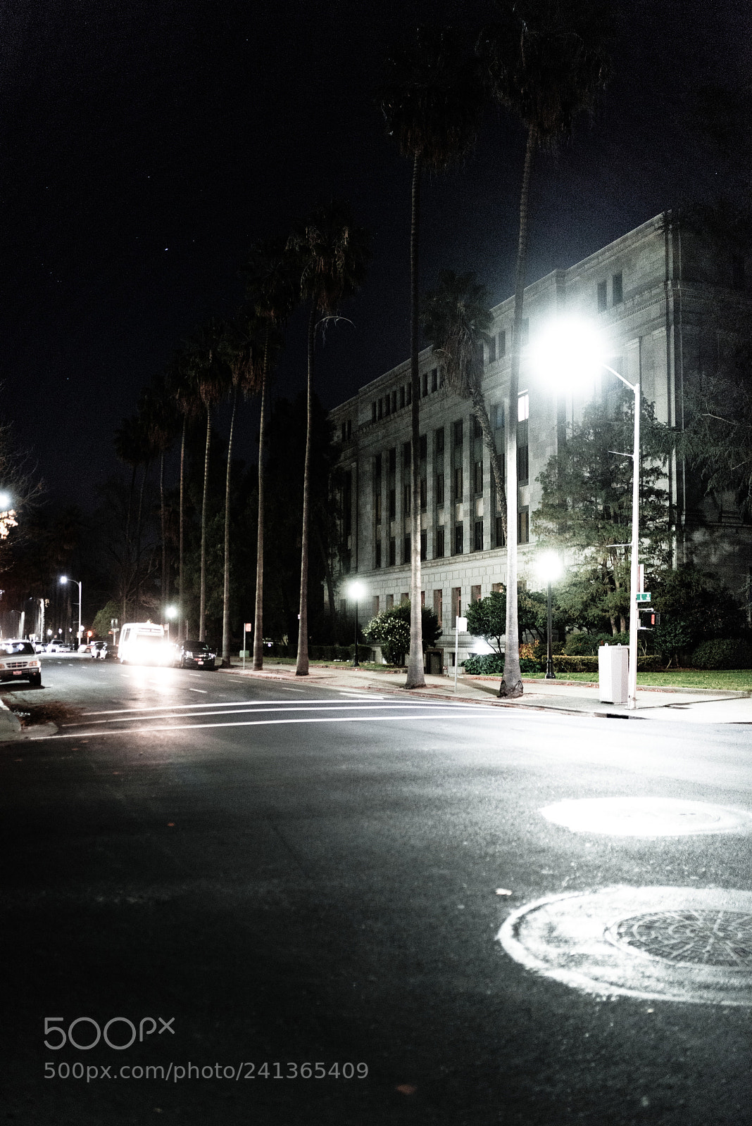 Nikon D800 sample photo. Untitled photography