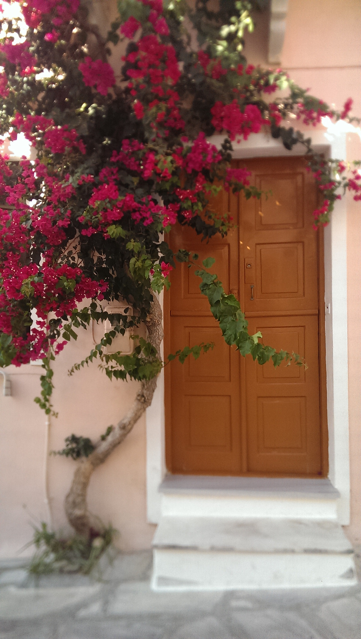 HTC ONE sample photo