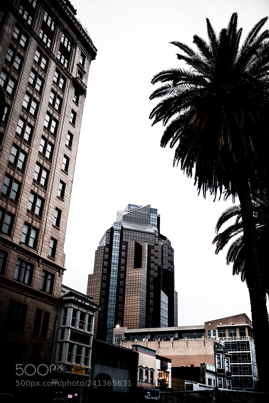 Nikon D800 sample photo. Untitled photography