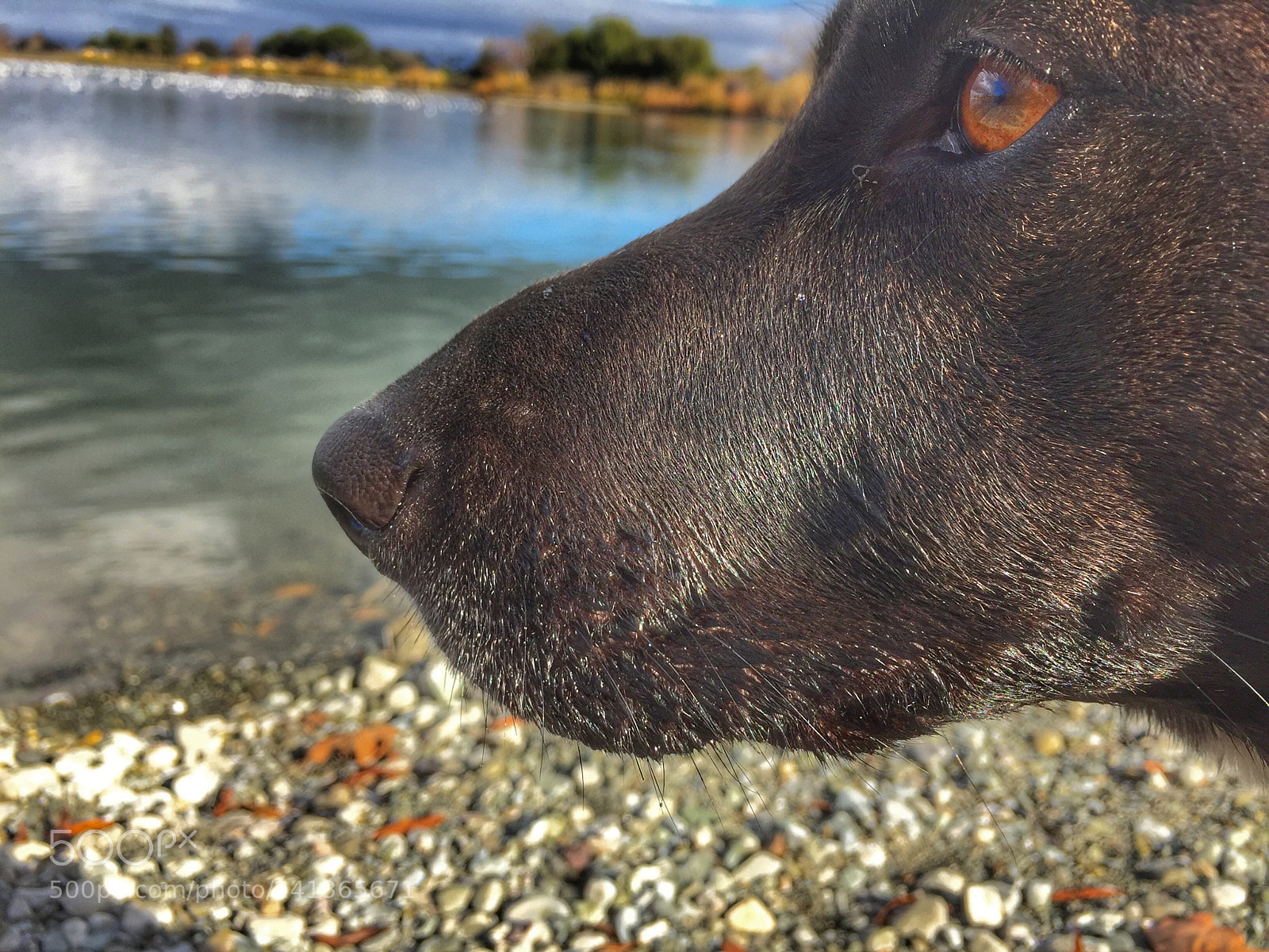 Apple iPhone 6 Plus sample photo. Avon photography