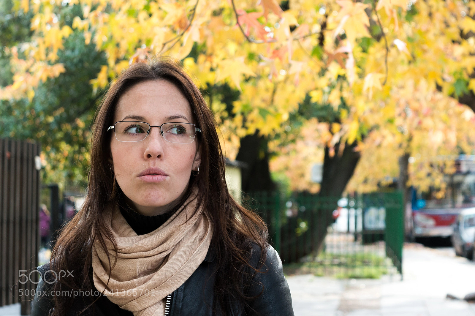 Nikon D3200 sample photo. Autumn photography