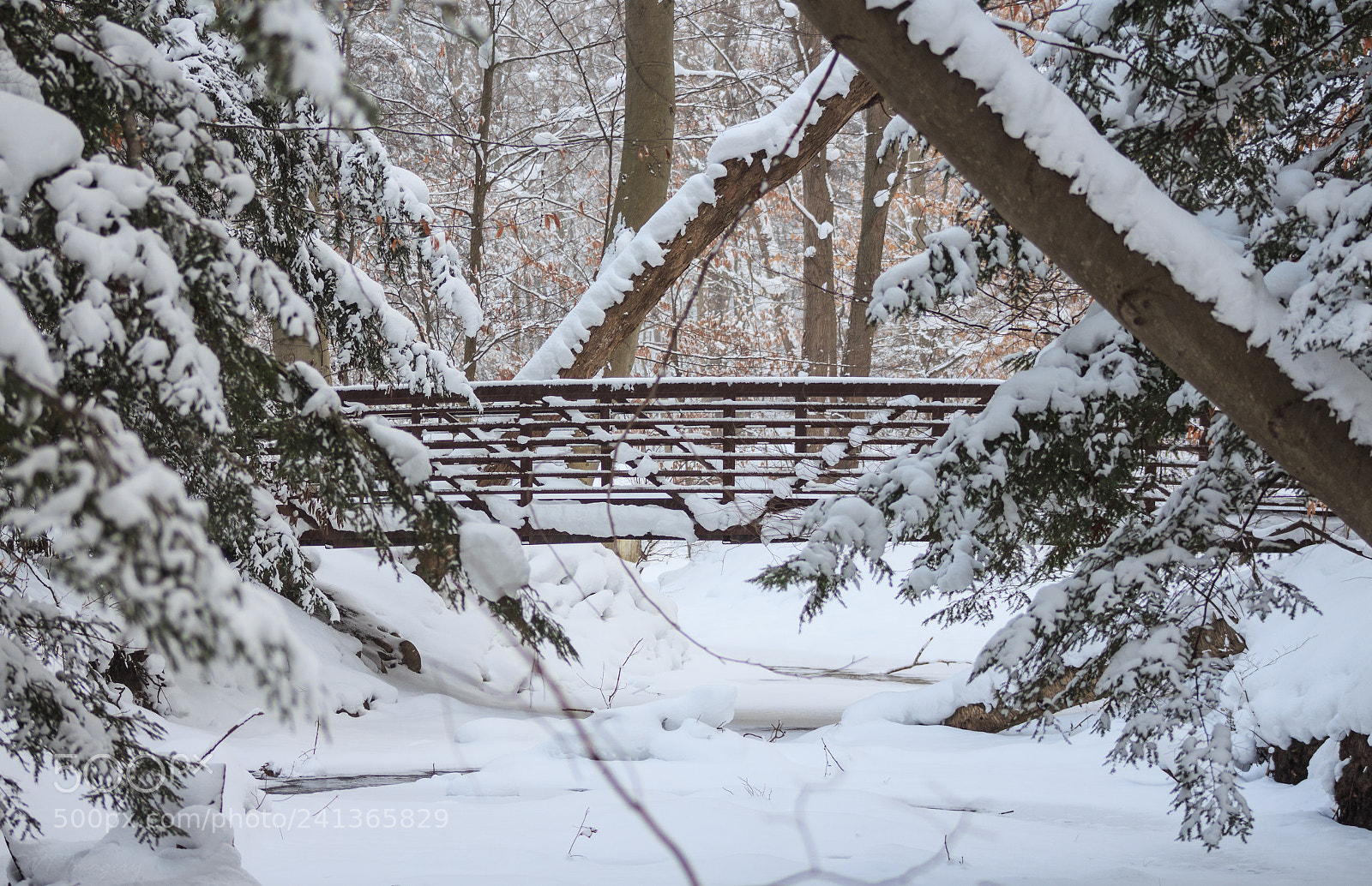 Canon EOS 700D (EOS Rebel T5i / EOS Kiss X7i) sample photo. Winter bridge photography