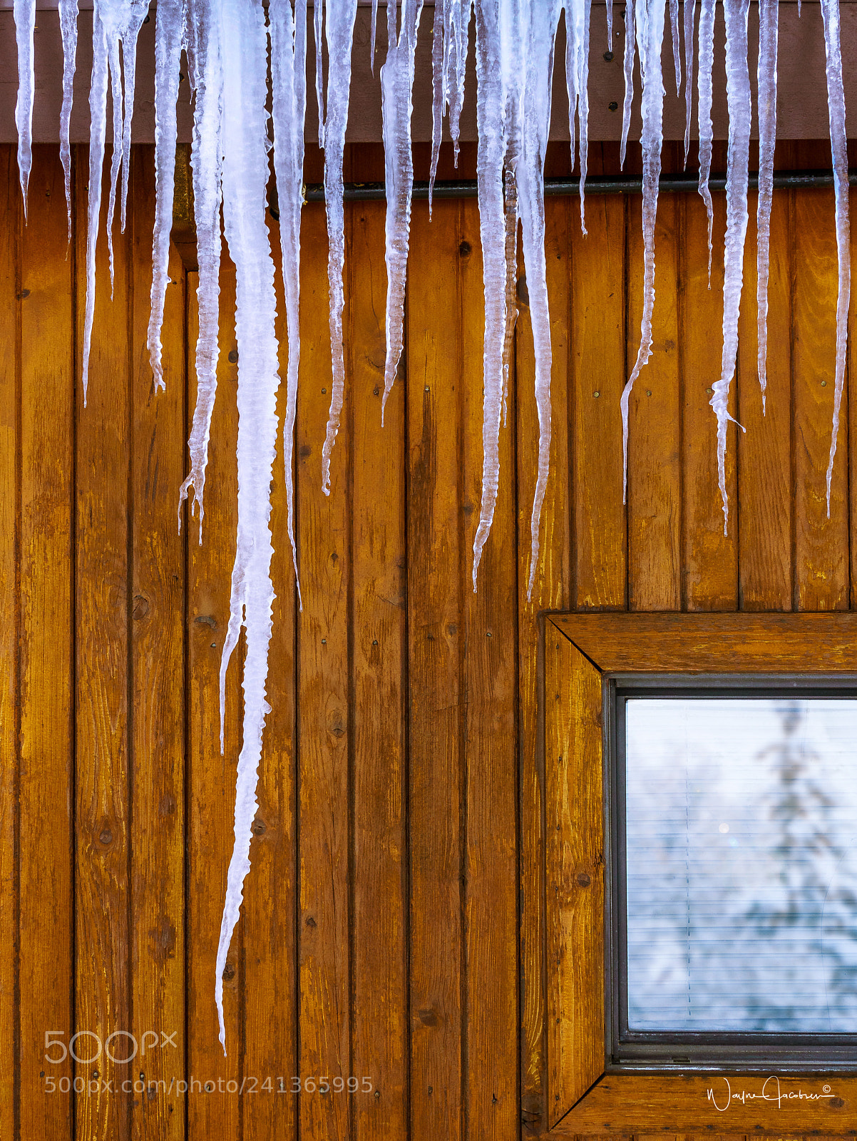 Sony Alpha NEX-7 sample photo. Icy photography