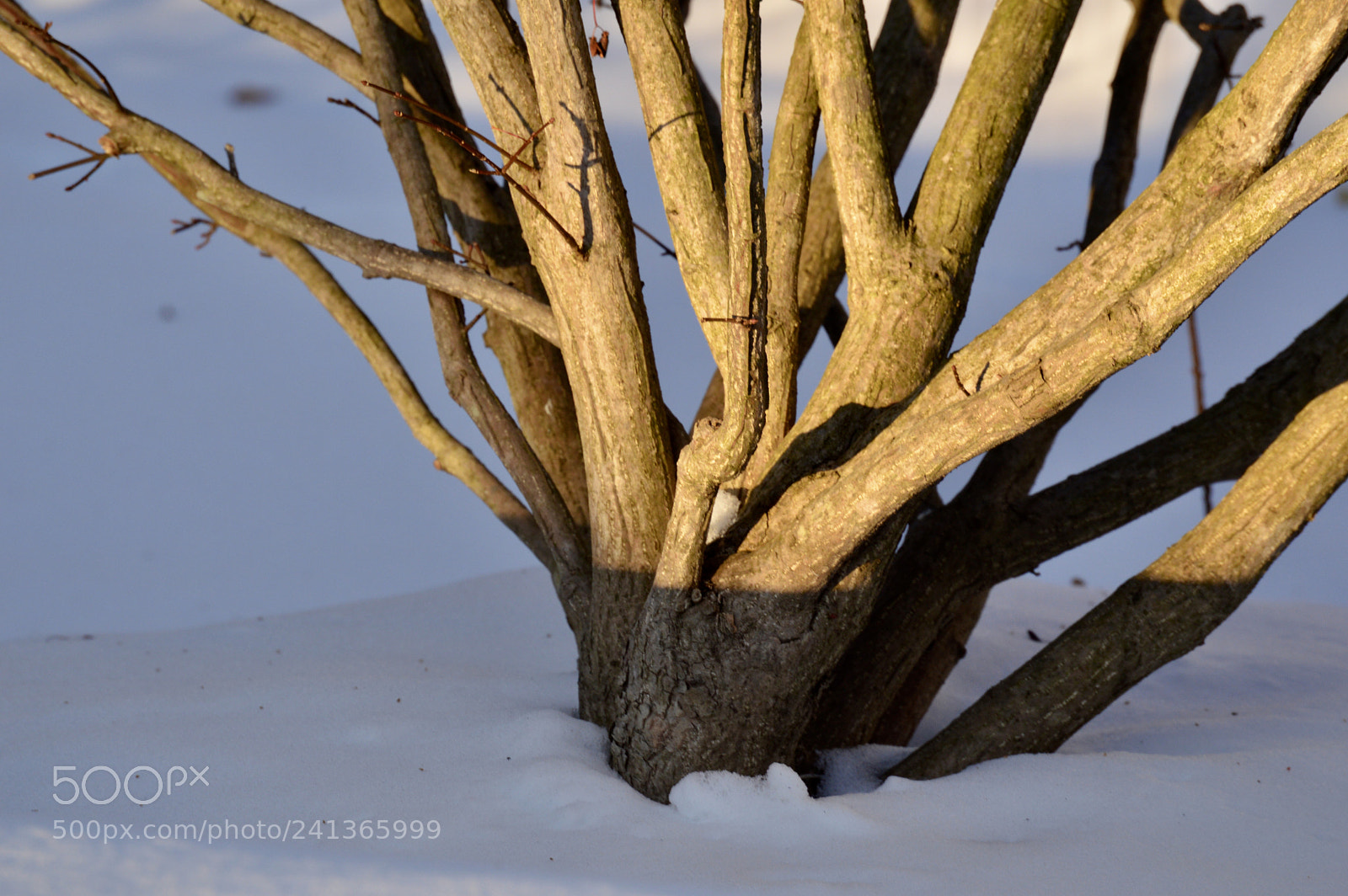 Nikon D3200 sample photo. Cold day photography
