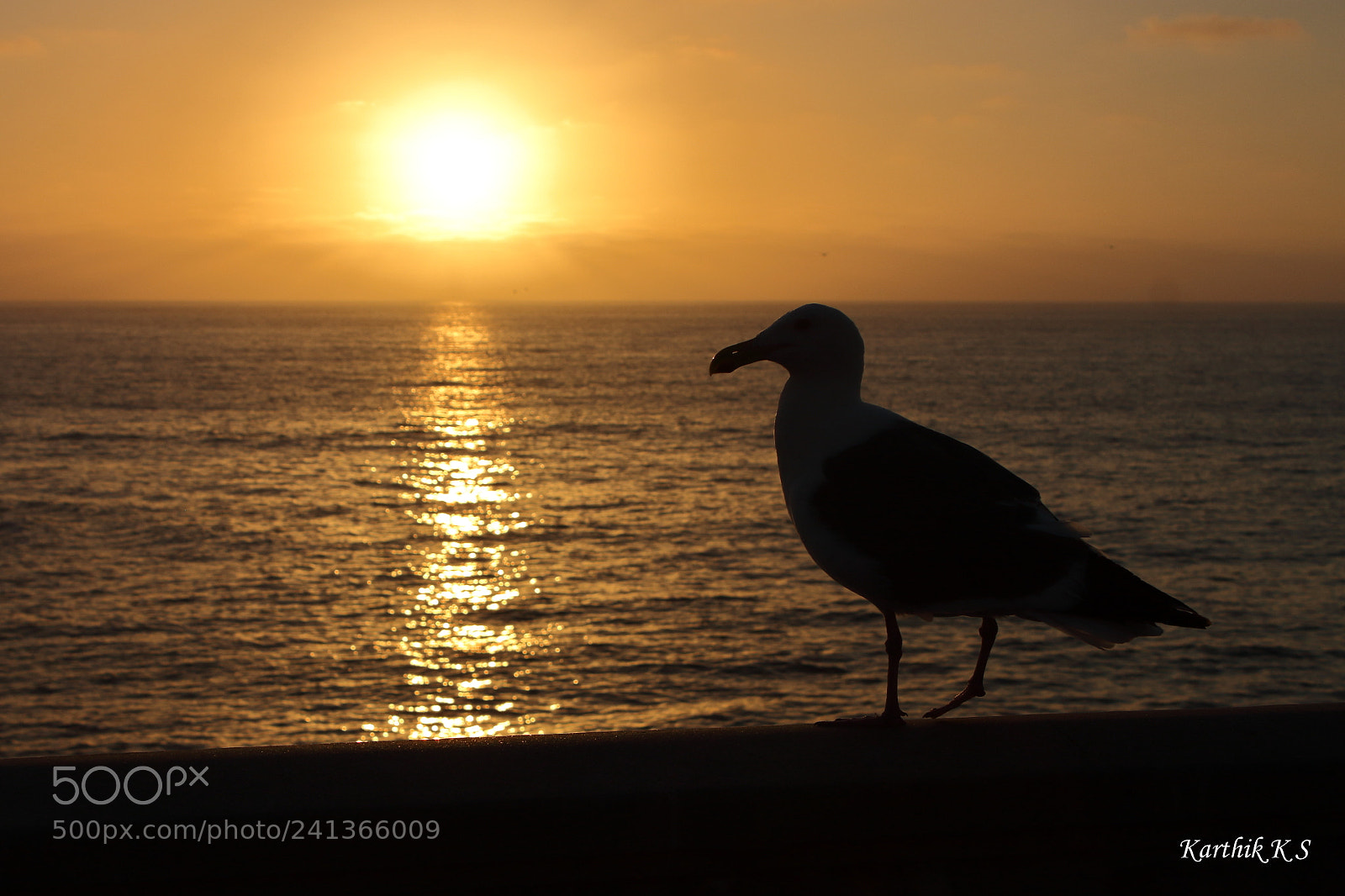 Canon EF-S 18-55mm F3.5-5.6 IS sample photo. La jolla cove photography