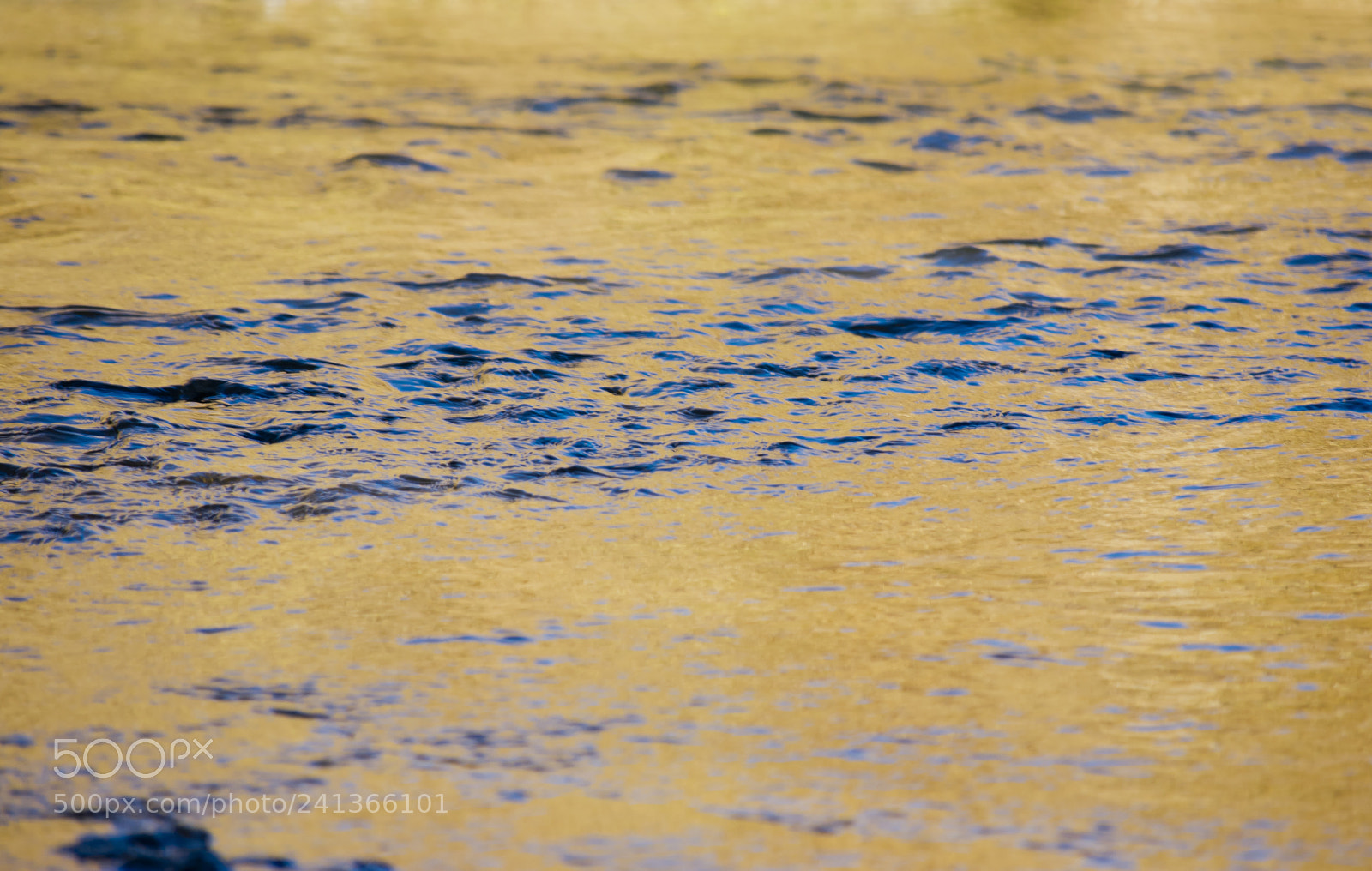 Nikon D3400 sample photo. Blue and gold photography