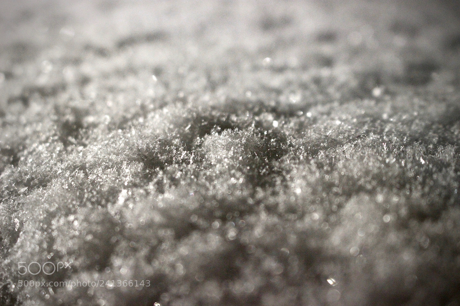 Canon EOS 100D (EOS Rebel SL1 / EOS Kiss X7) sample photo. First snow - one photography