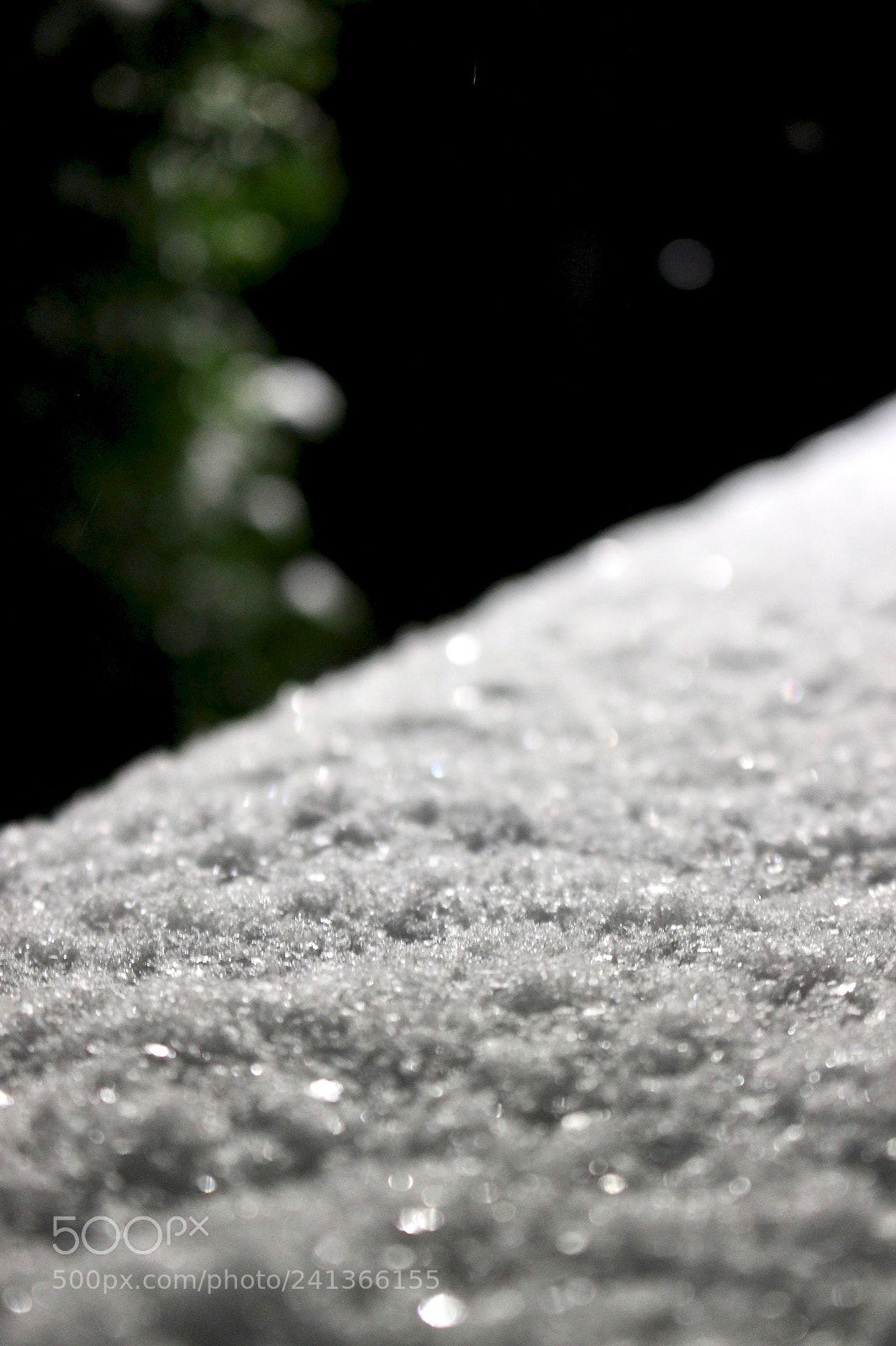 Canon EOS 100D (EOS Rebel SL1 / EOS Kiss X7) sample photo. First snow - two photography