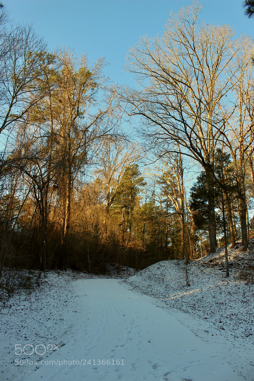 Canon EOS 100D (EOS Rebel SL1 / EOS Kiss X7) sample photo. Winters walk way photography