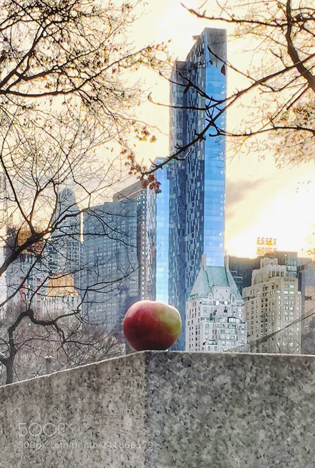 Apple iPhone 6 Plus sample photo. The apple in big photography