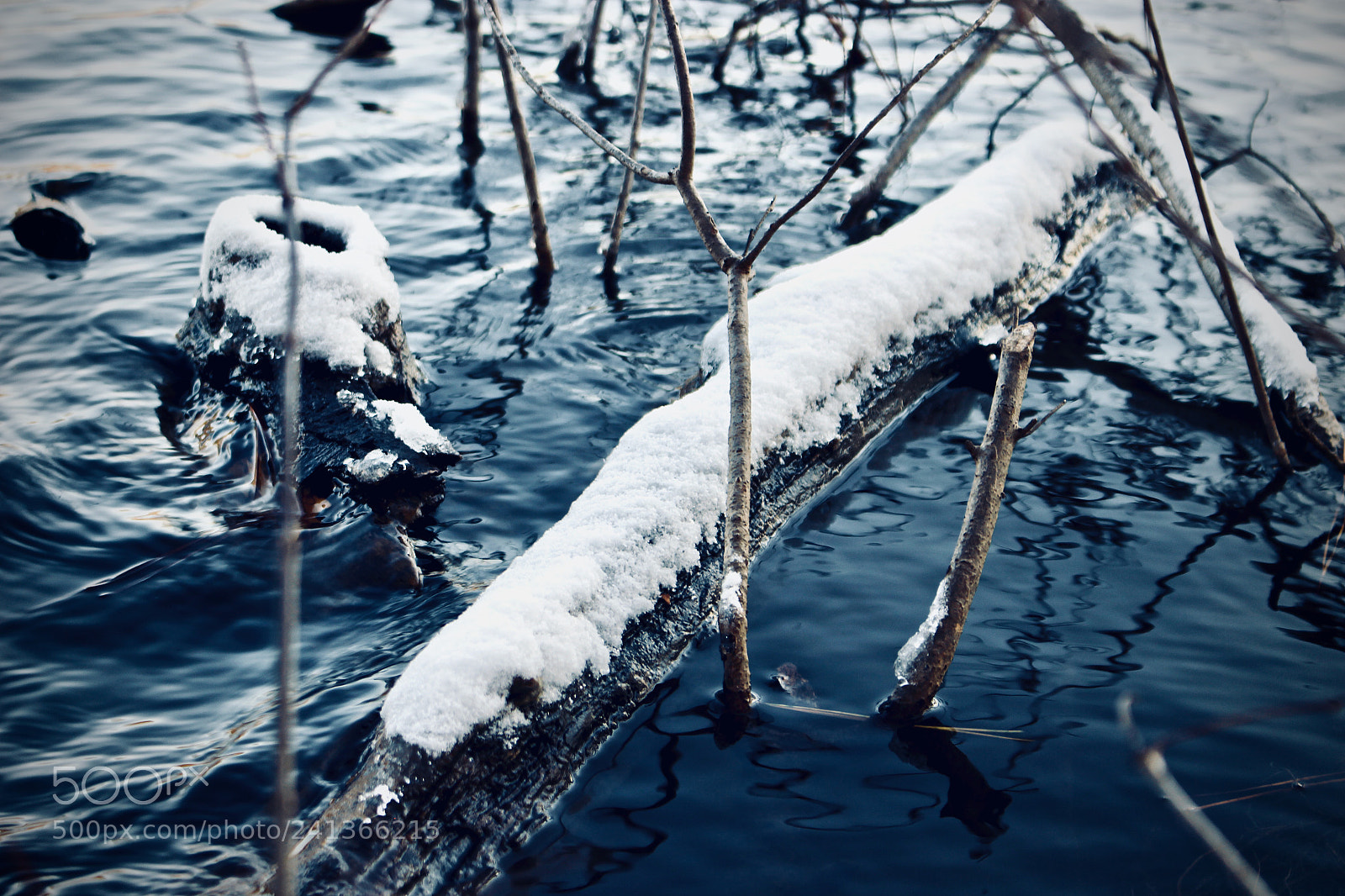 Canon EOS 100D (EOS Rebel SL1 / EOS Kiss X7) sample photo. Chilling water photography