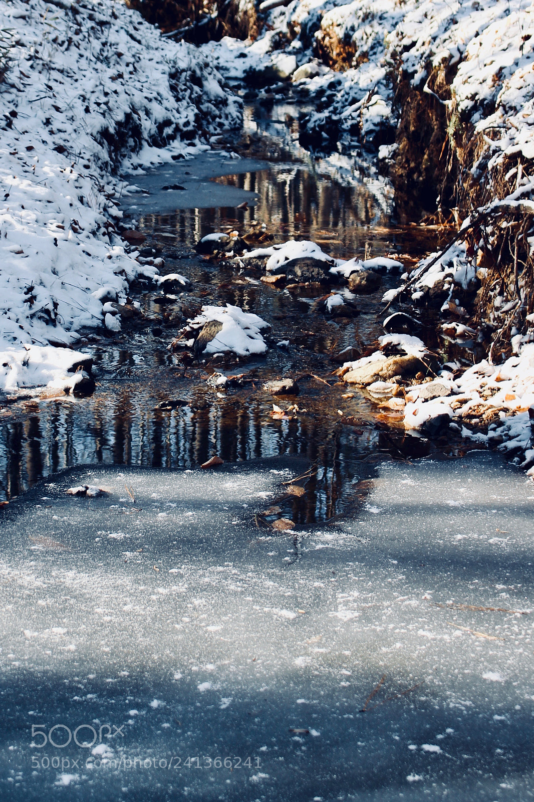 Canon EOS 100D (EOS Rebel SL1 / EOS Kiss X7) sample photo. Frozen stream - two photography