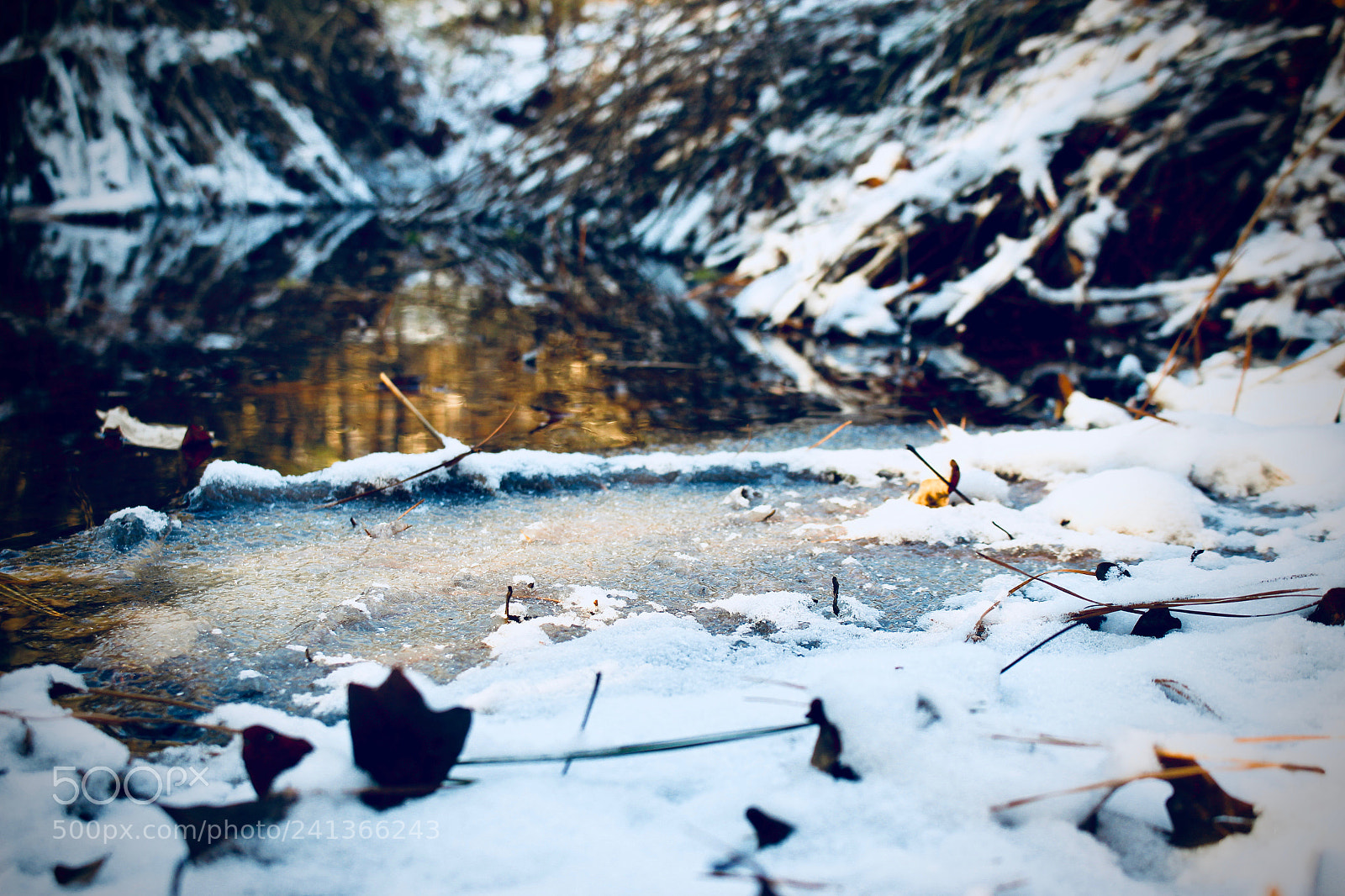 Canon EOS 100D (EOS Rebel SL1 / EOS Kiss X7) sample photo. Frozen stream - one photography