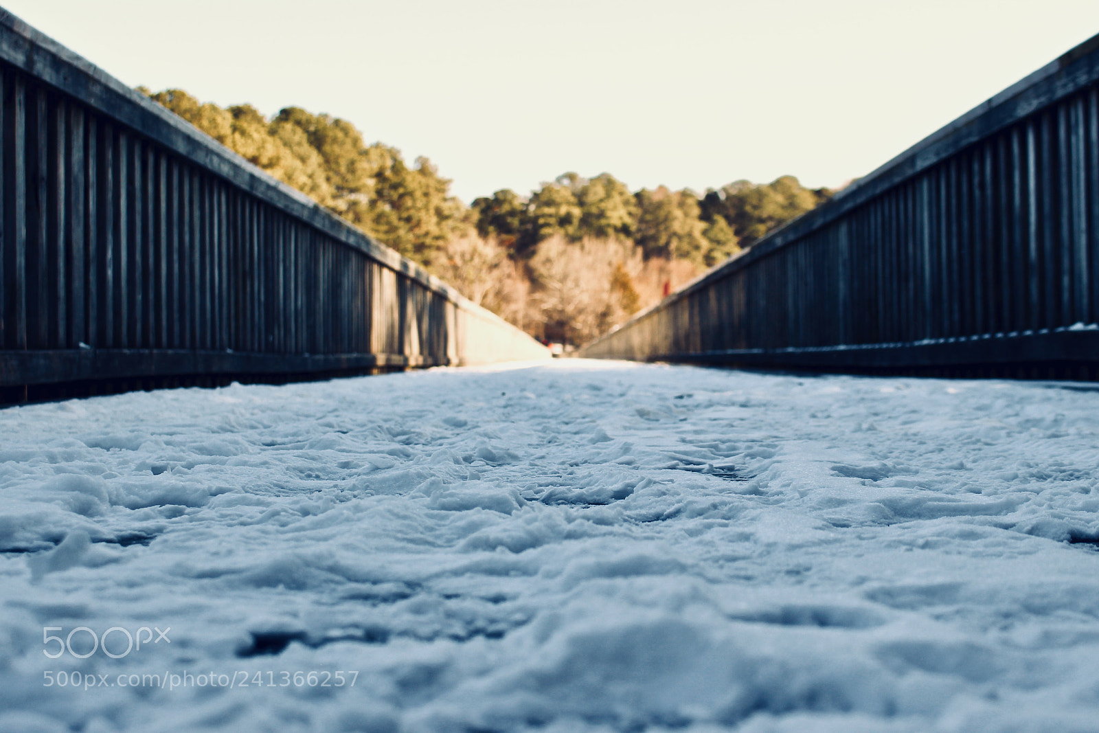 Canon EOS 100D (EOS Rebel SL1 / EOS Kiss X7) sample photo. Crossing chills photography