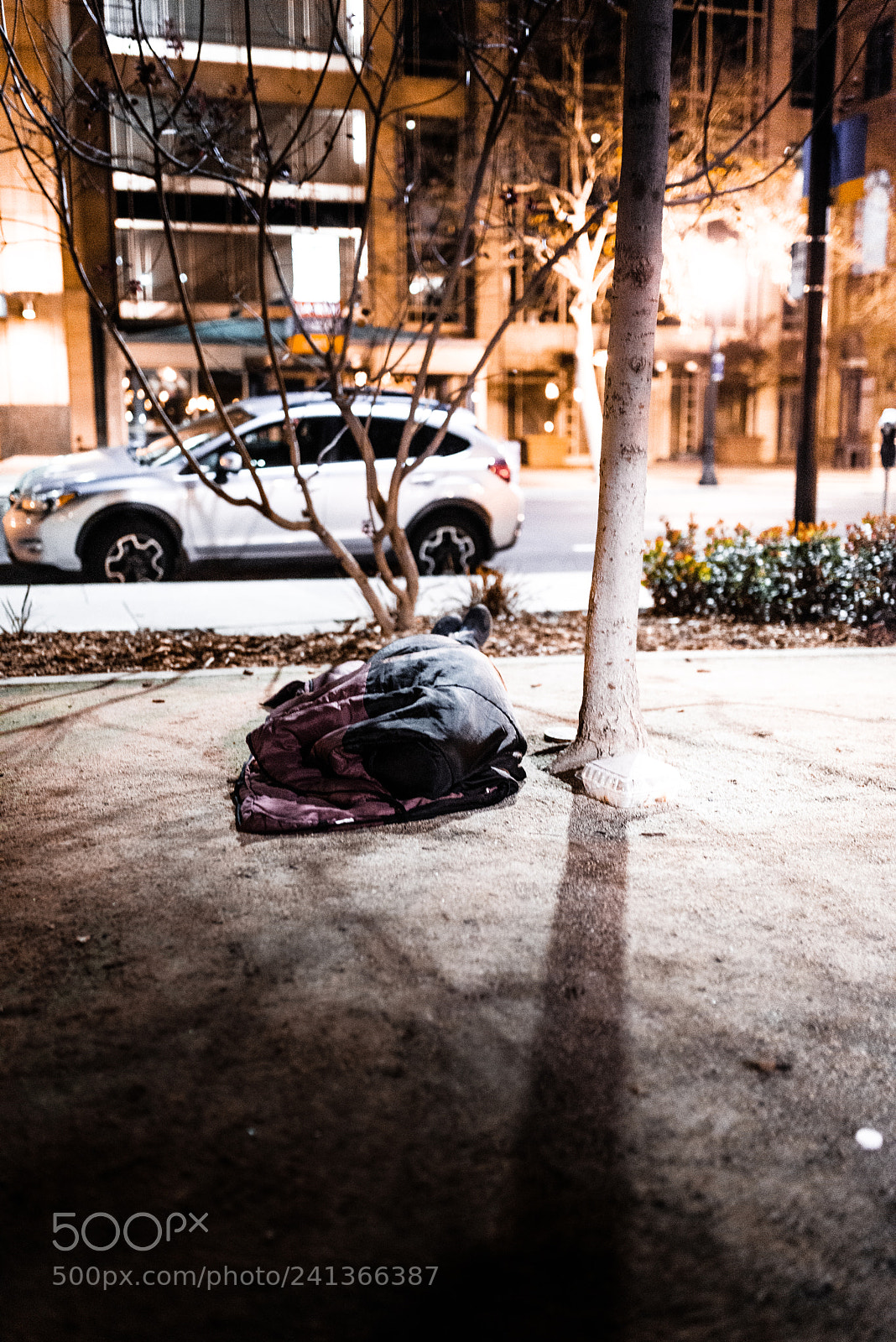 Nikon D800 sample photo. Untitled photography