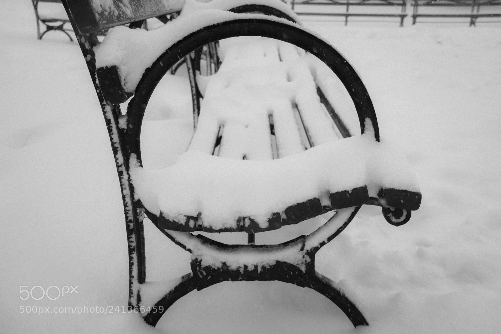 Nikon D7100 sample photo. Arched snowfall photography