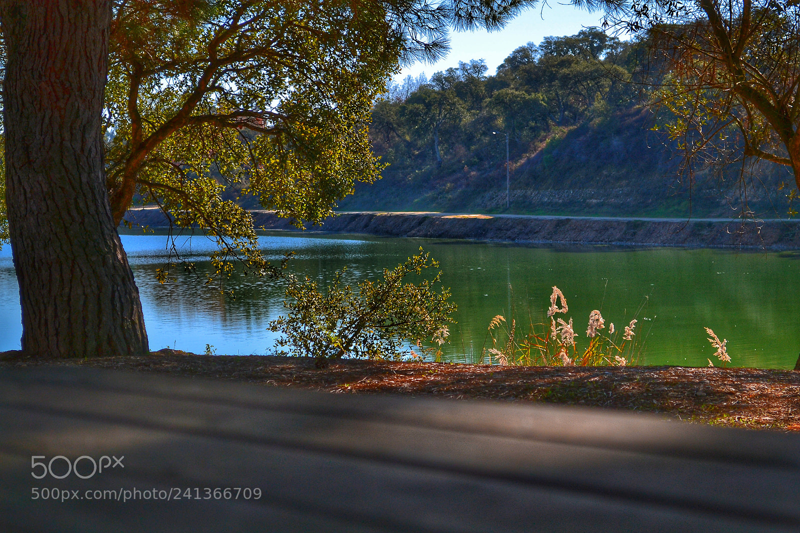 Nikon D3100 sample photo. Dam photography