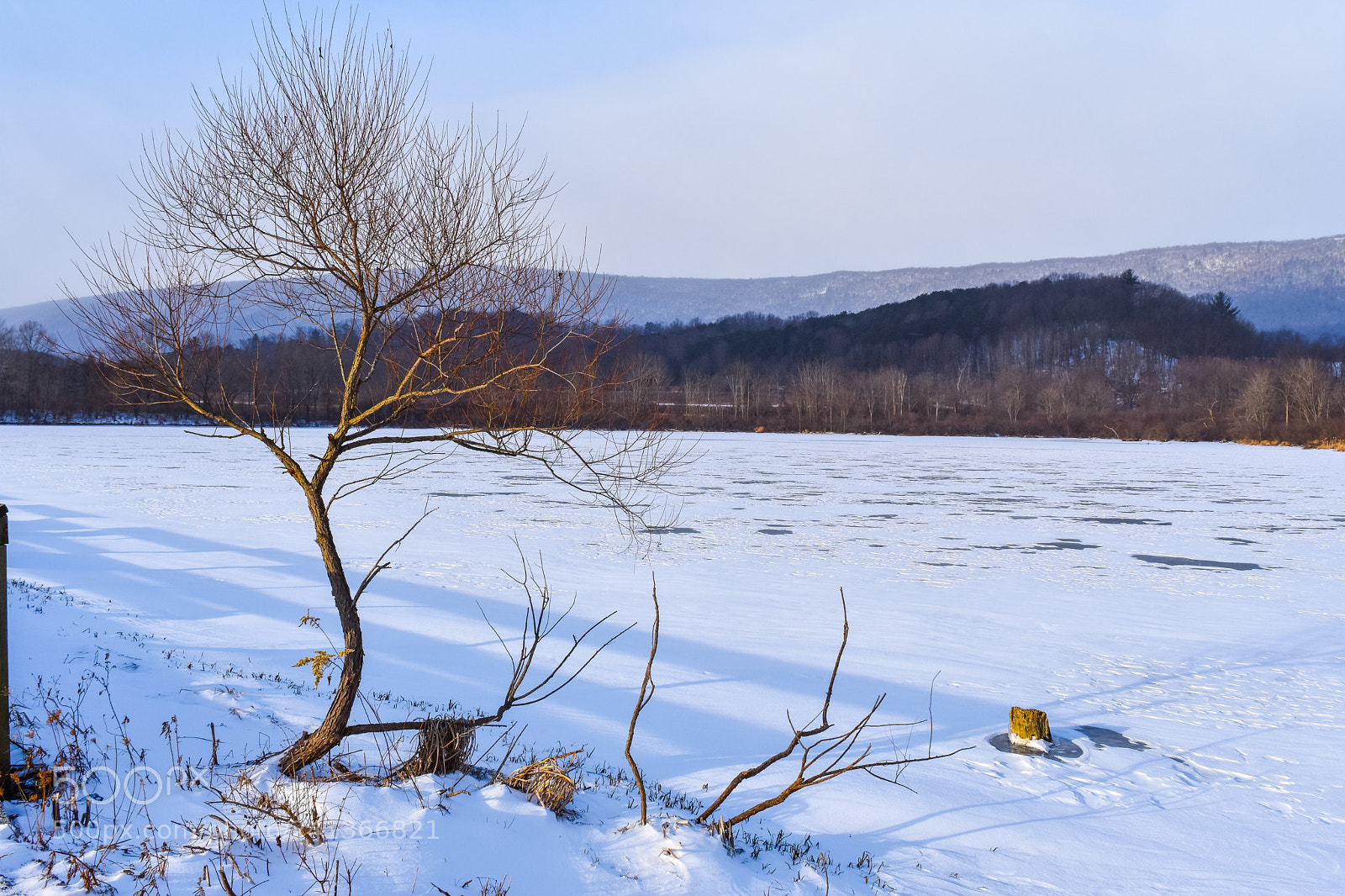 Nikon D3400 sample photo. Solo tree photography