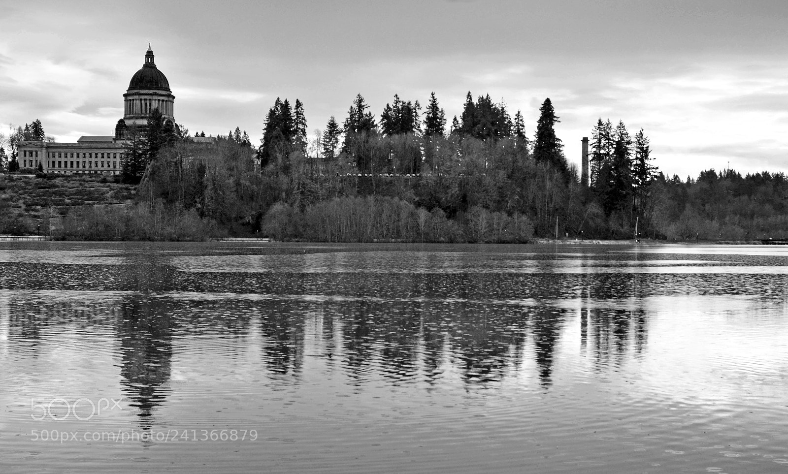 Nikon D7000 sample photo. Capitol lake, olympia in photography