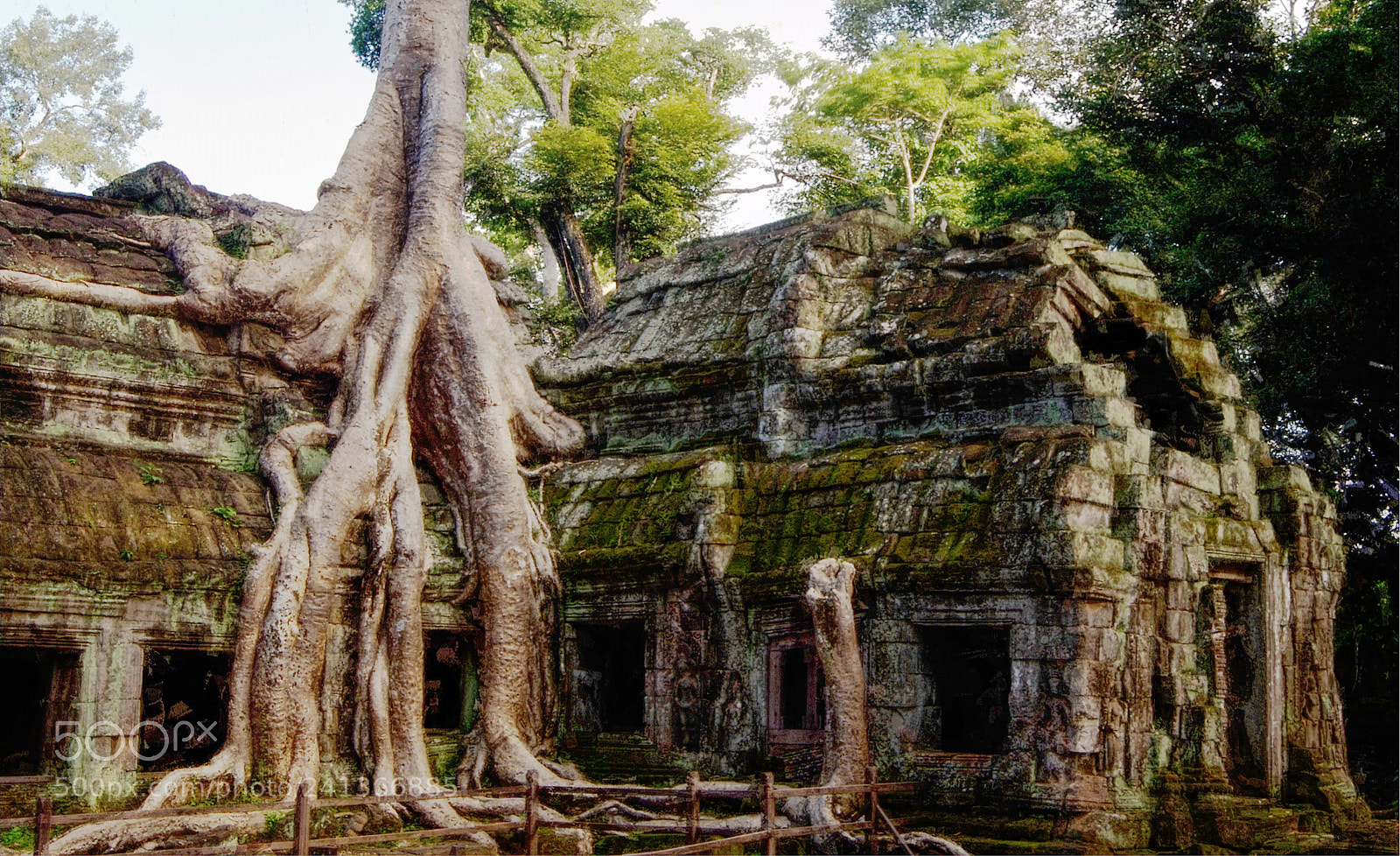 Nikon D700 sample photo. Ta prohm photography