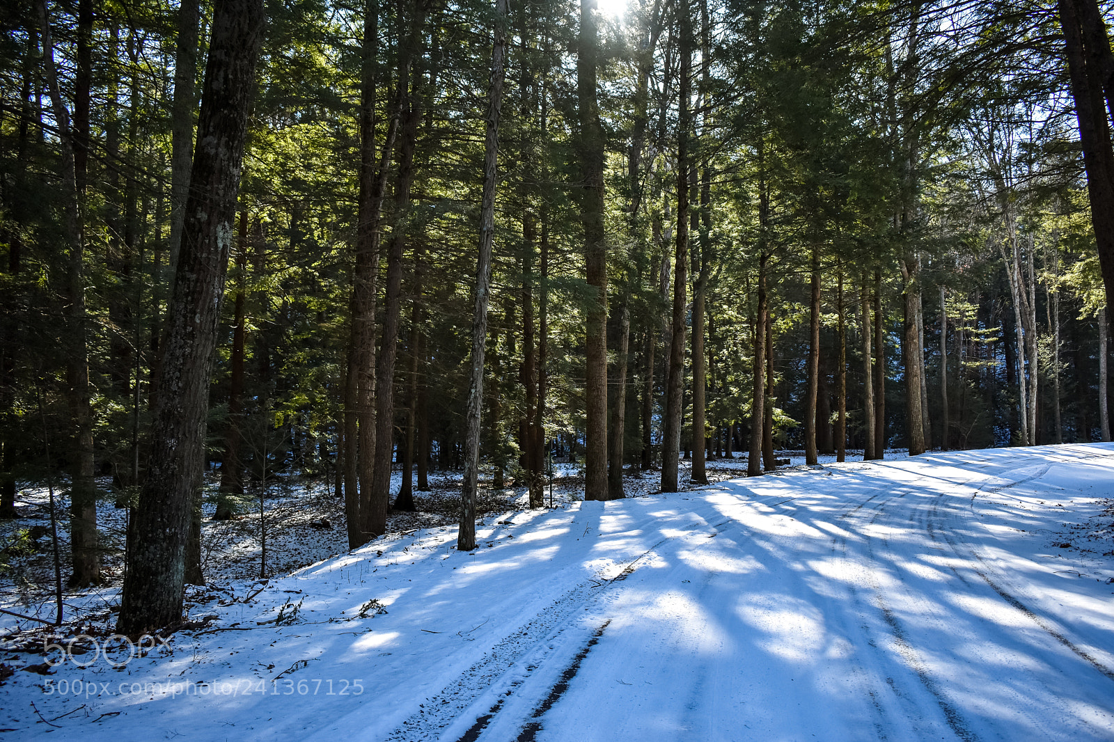 Nikon D3400 sample photo. Winter road photography