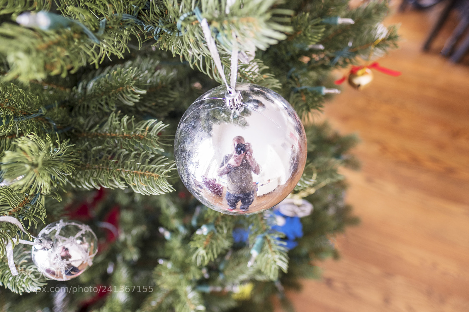 Fujifilm X-T2 sample photo. Tis the season photography