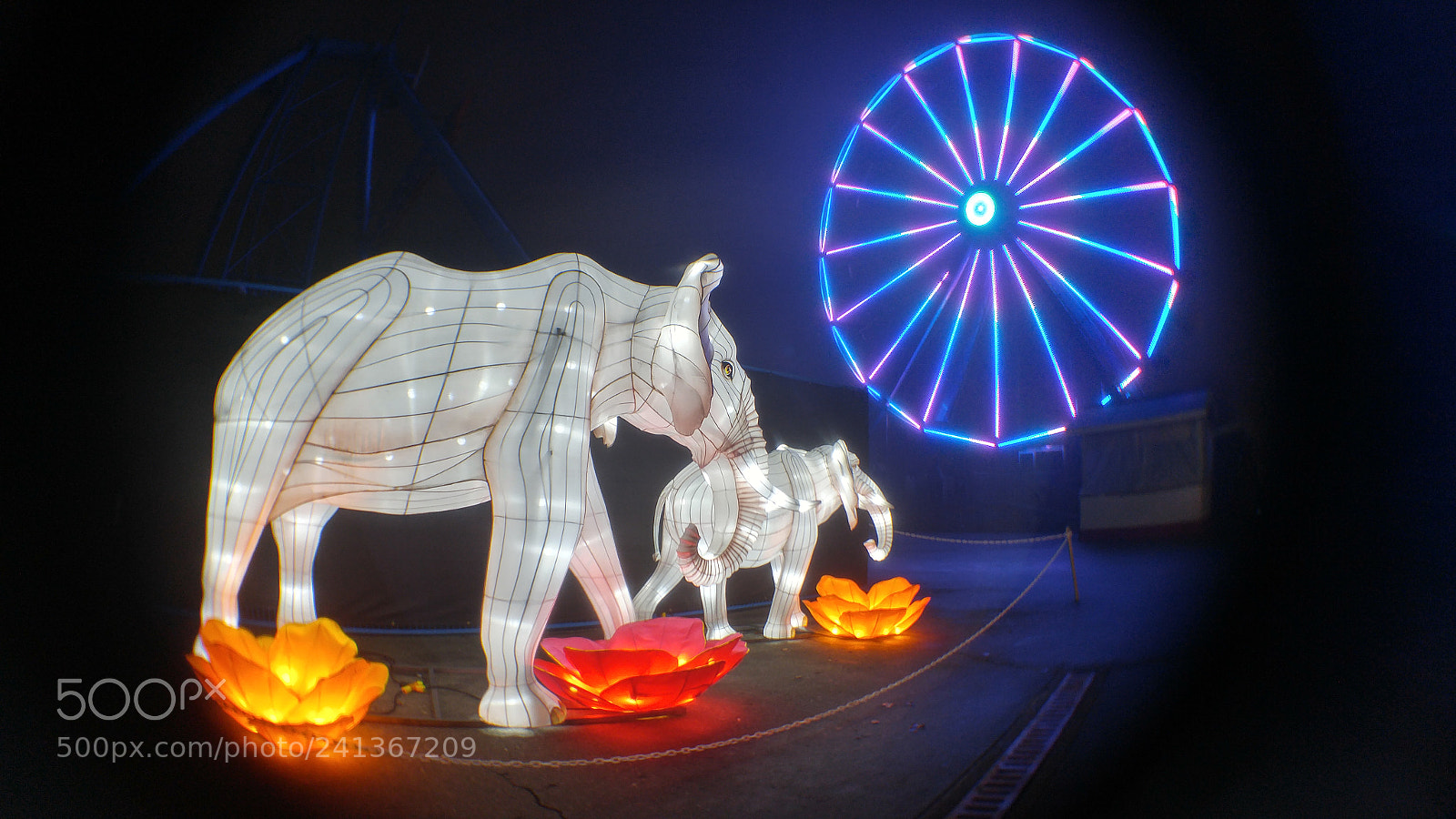 LG G4 sample photo. Elephants at the chinese photography