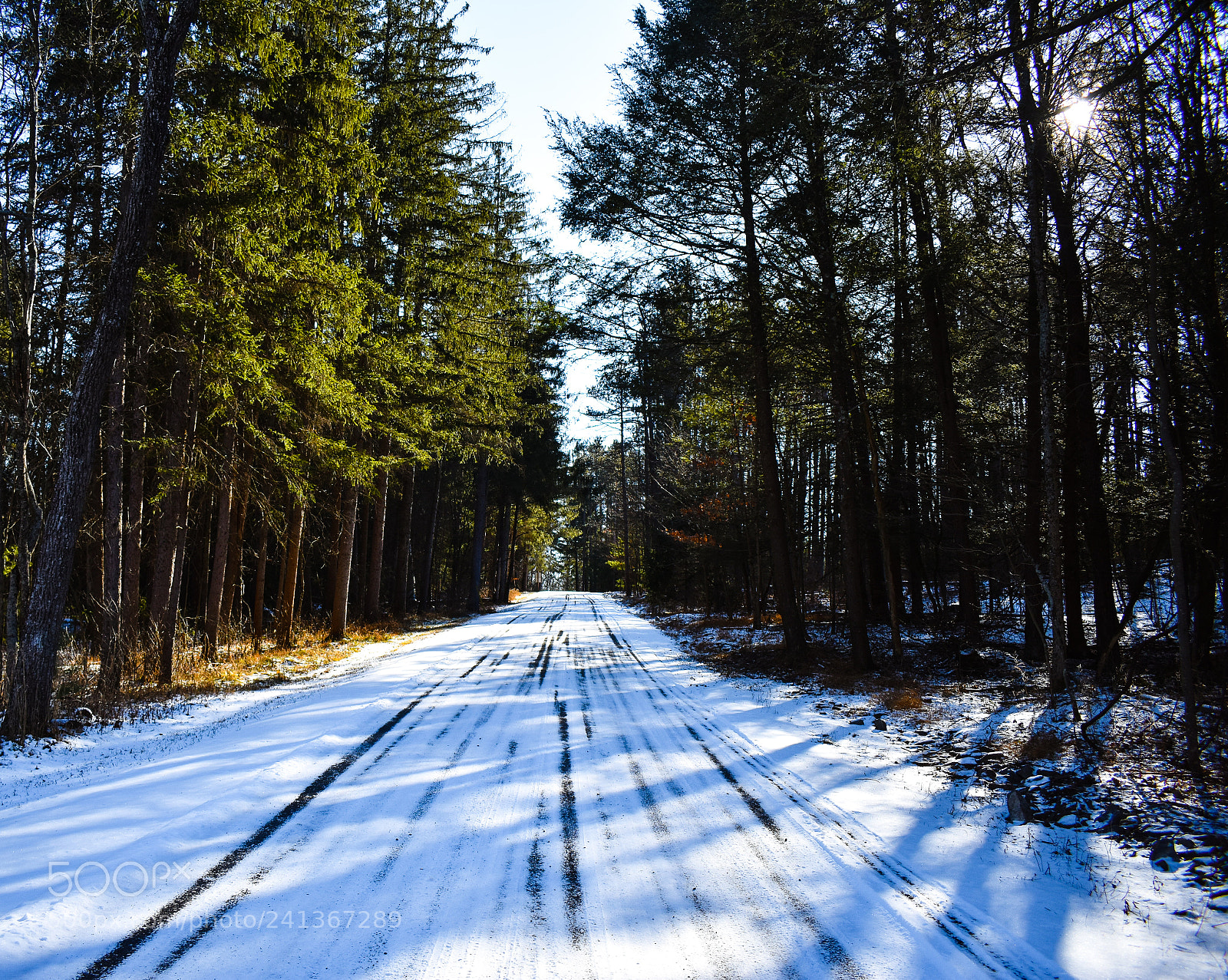 Nikon D3400 sample photo. Lone path photography