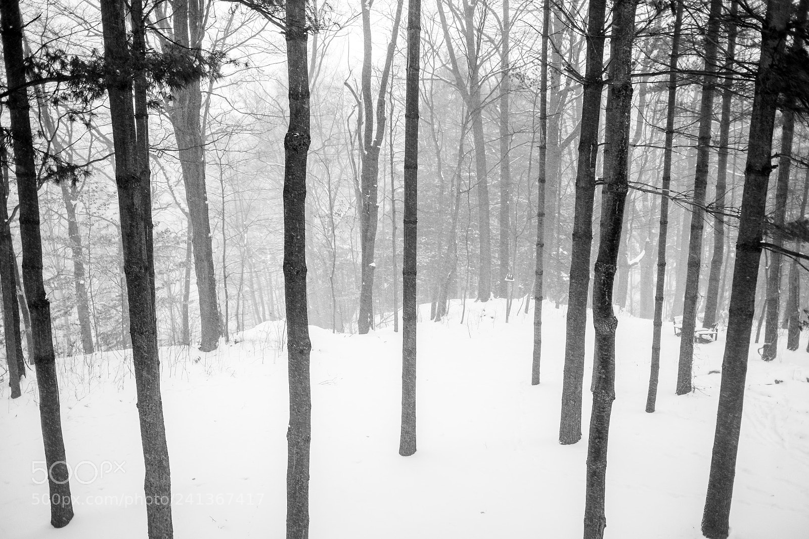 Fujifilm X70 sample photo. Winter wonderland photography