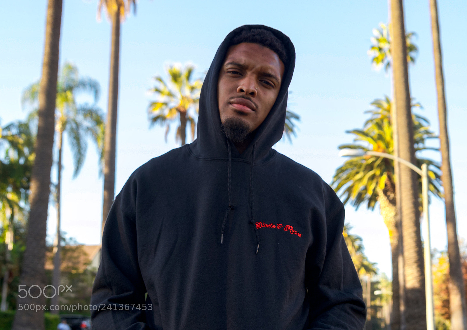 Sony SLT-A57 sample photo. Blunts&rroses photography
