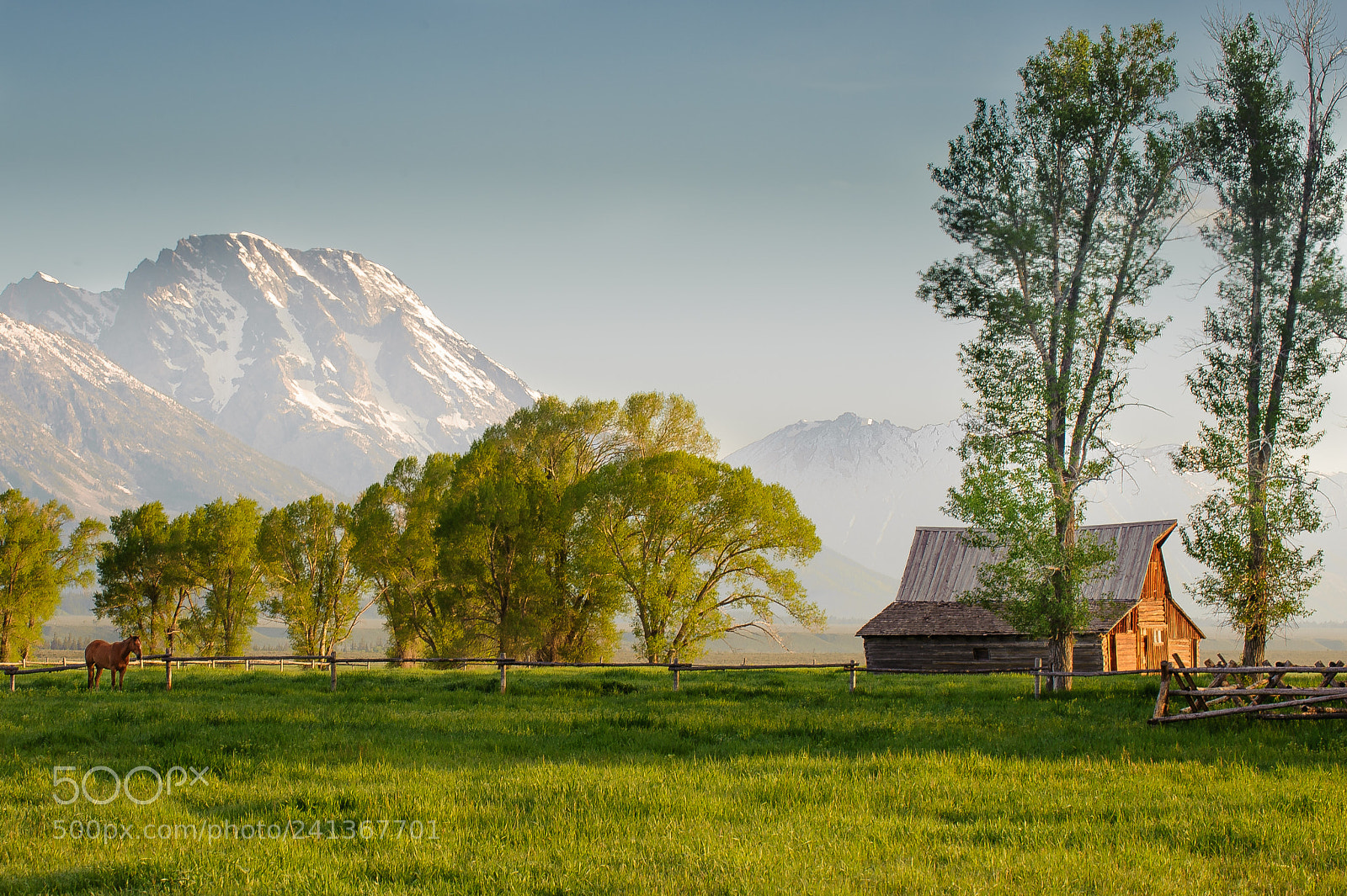 Nikon D3 sample photo. Moulton barn photography