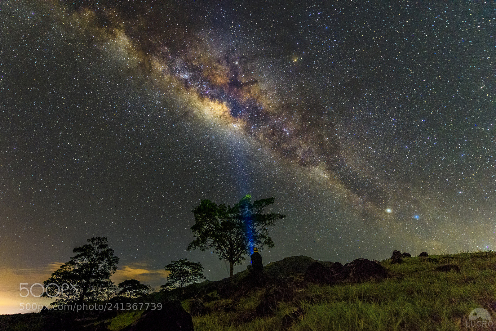 Nikon D810 sample photo. The signal photography