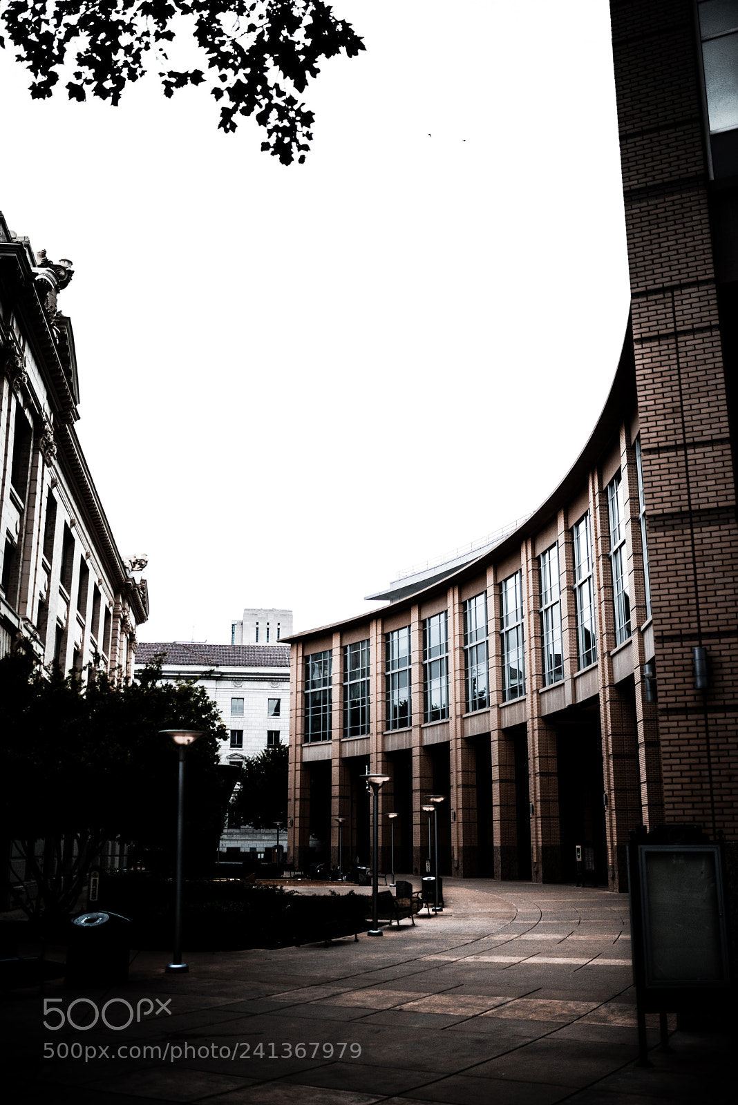 Nikon D800 sample photo. Untitled photography