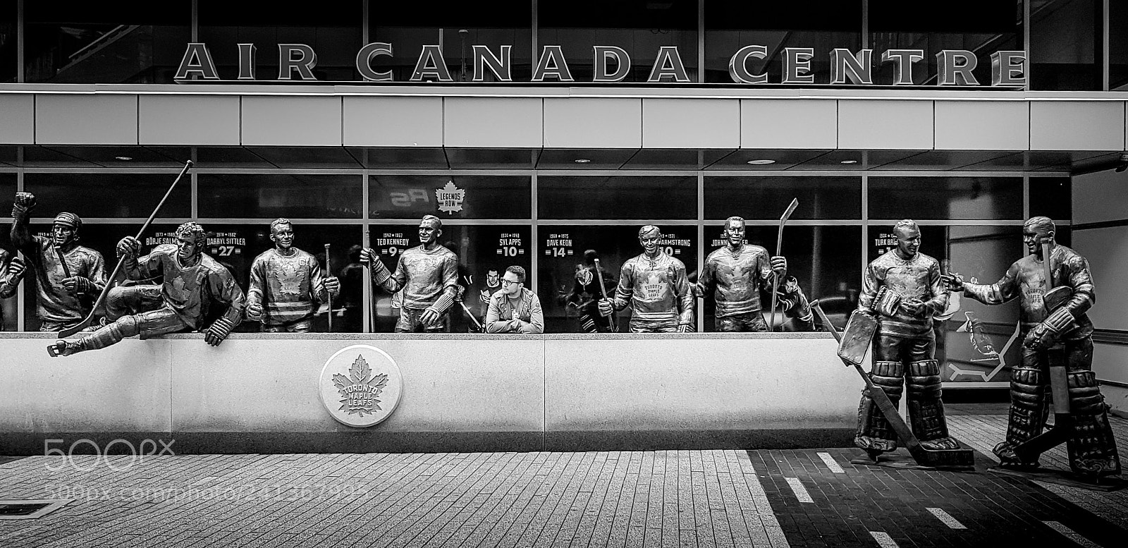 Samsung Galaxy S8 sample photo. Maple leafs photography