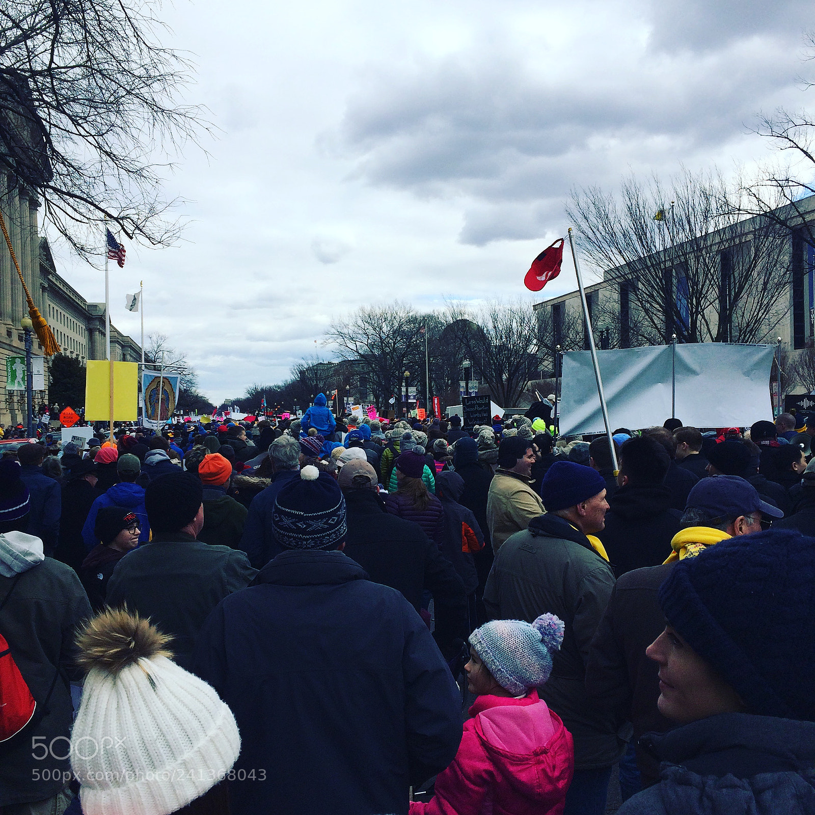 Apple iPhone 5s sample photo. Washington march 2017 photography