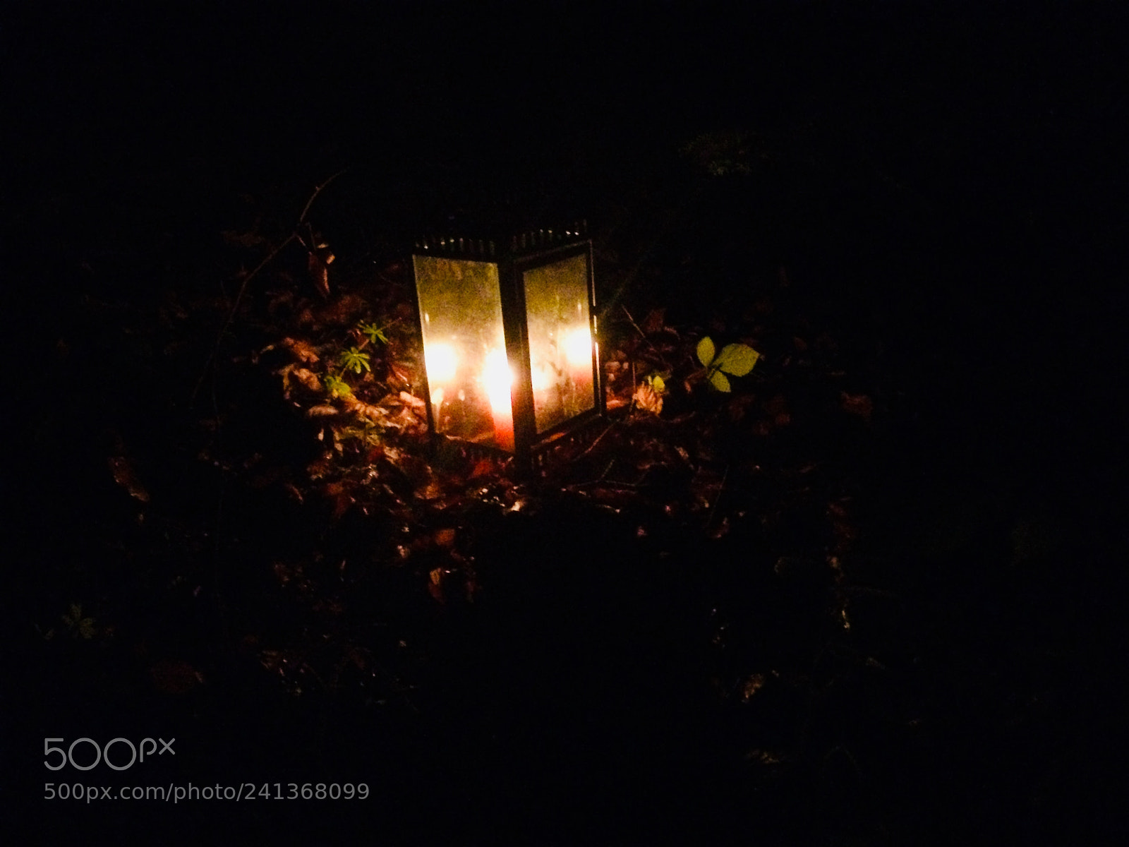 Apple iPhone 5s sample photo. Untitled photography