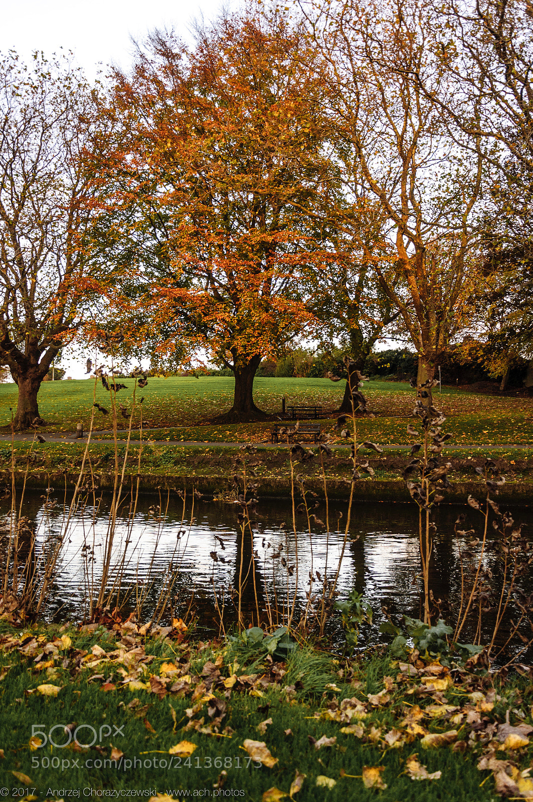 Nikon D90 sample photo. Griffith park, dublin 9 photography