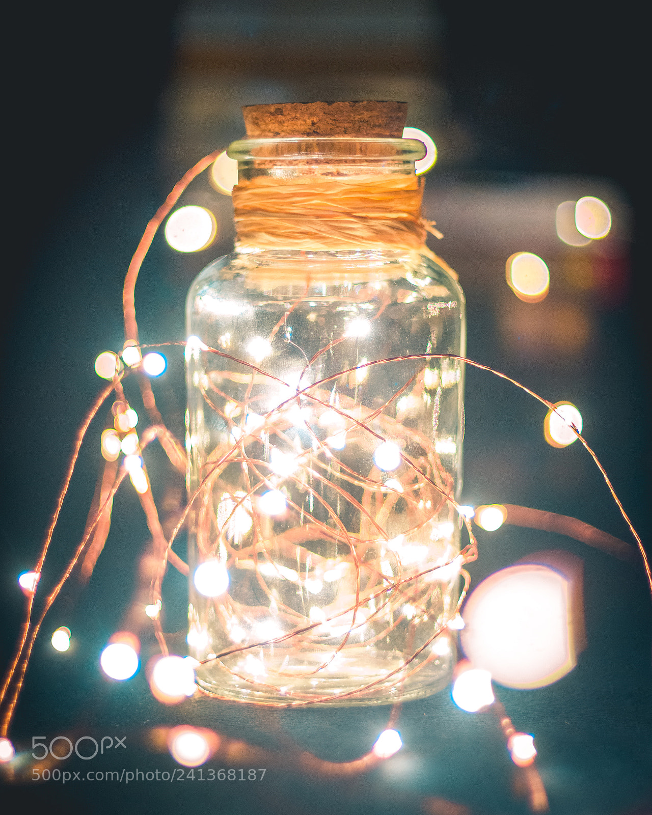 Canon EOS 550D (EOS Rebel T2i / EOS Kiss X4) sample photo. Chasing fireflies photography