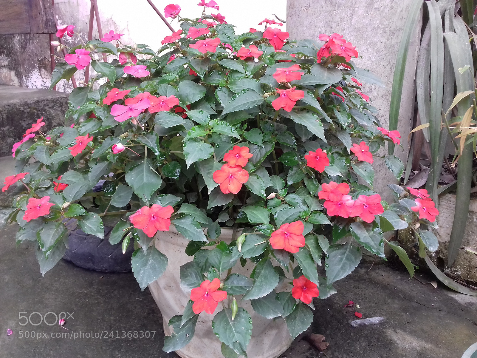 Samsung Galaxy Grand Prime sample photo. Untitled photography