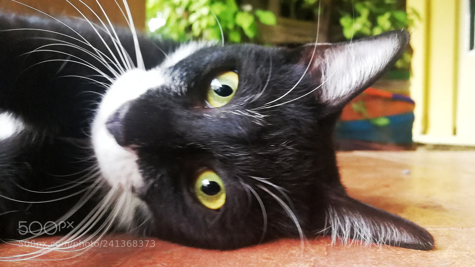 HUAWEI Mate 9 sample photo. Untitled photography