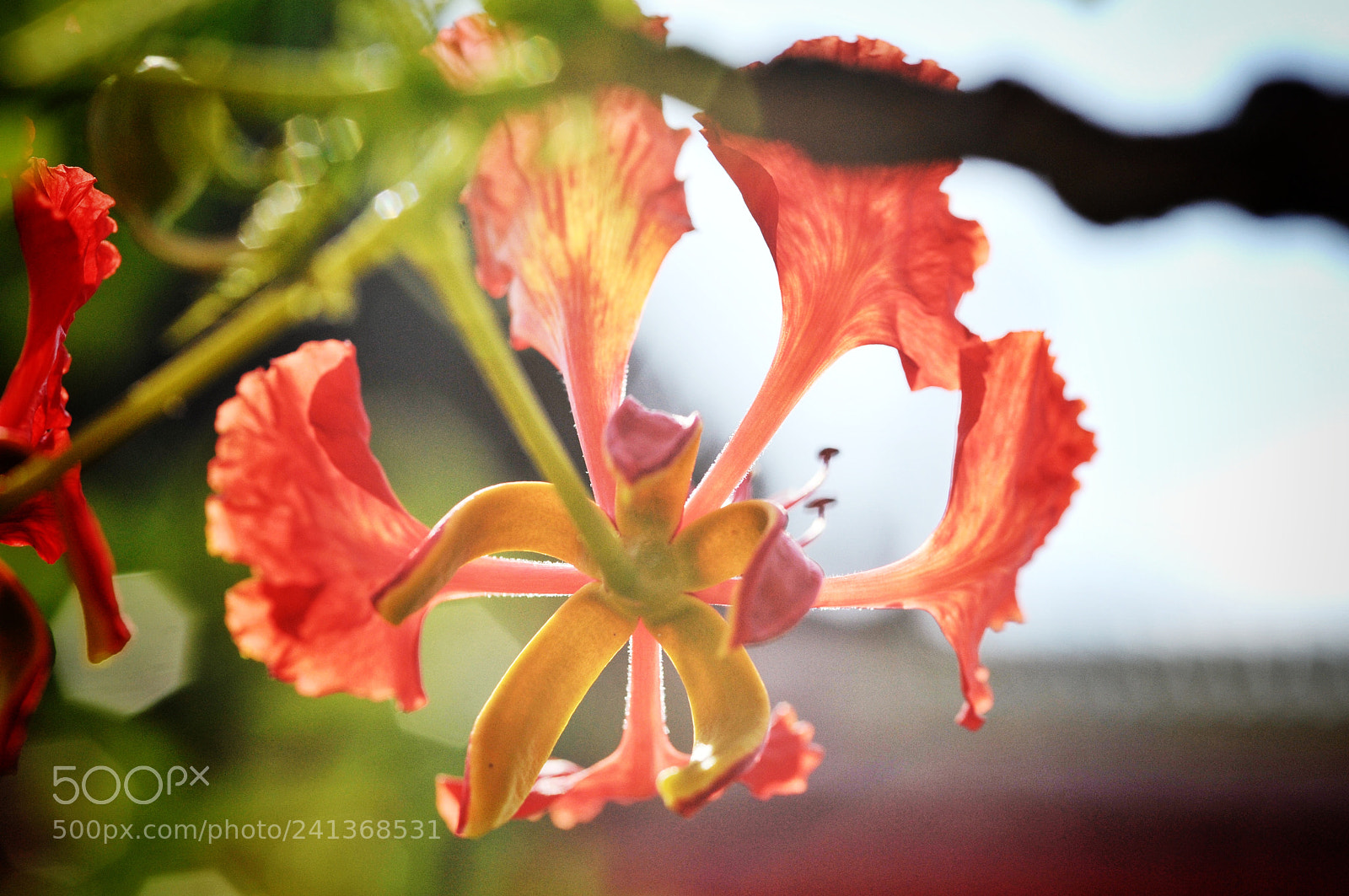 Nikon D700 sample photo. Untitled photography