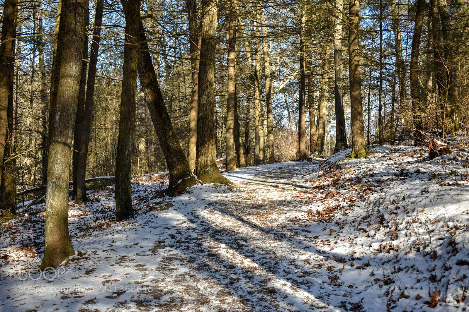 Nikon D3400 sample photo. Winter trail photography