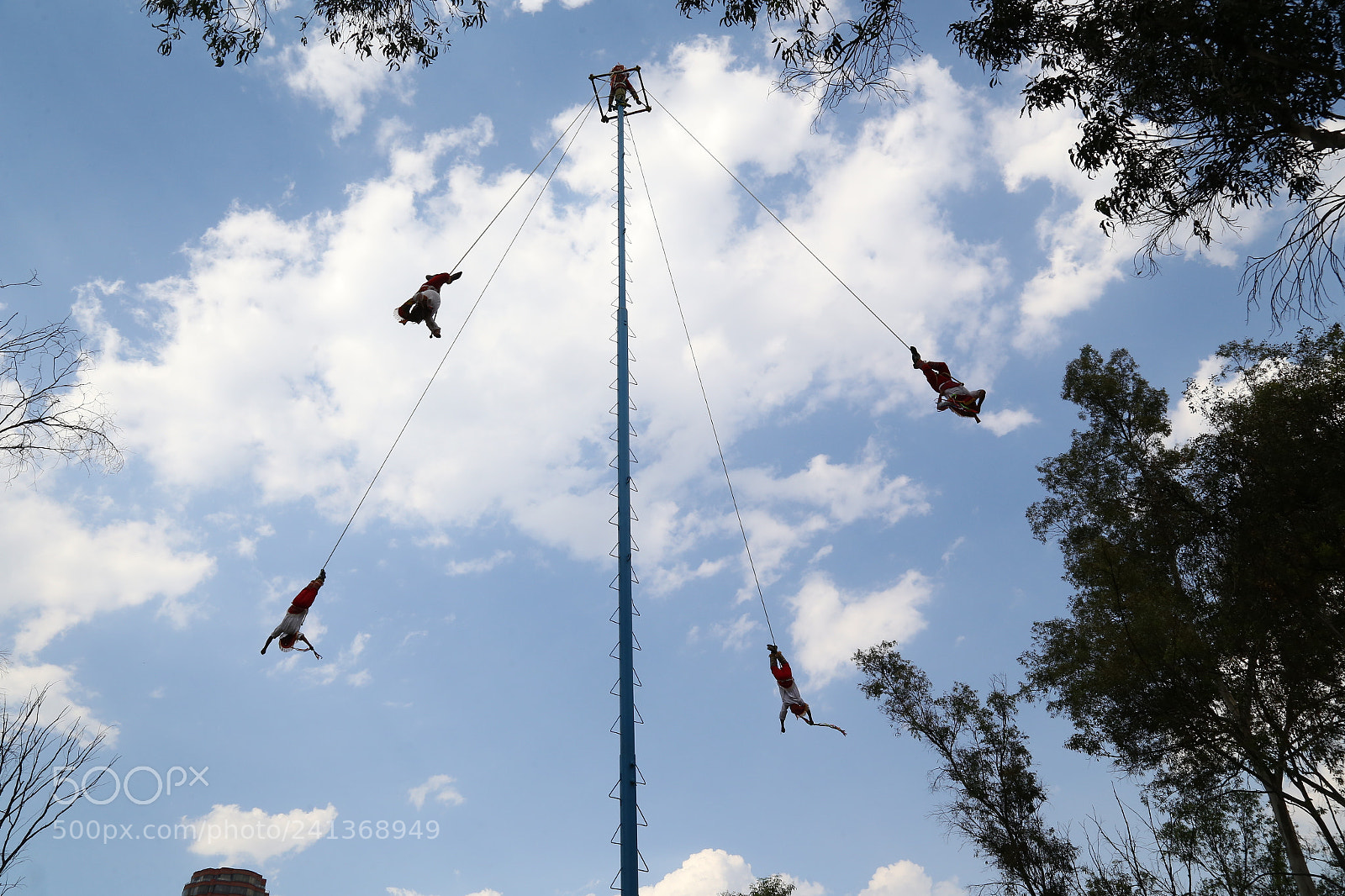 Canon EOS 6D + Canon EF 24-105mm F4L IS USM sample photo. Voladores de paplanta photography
