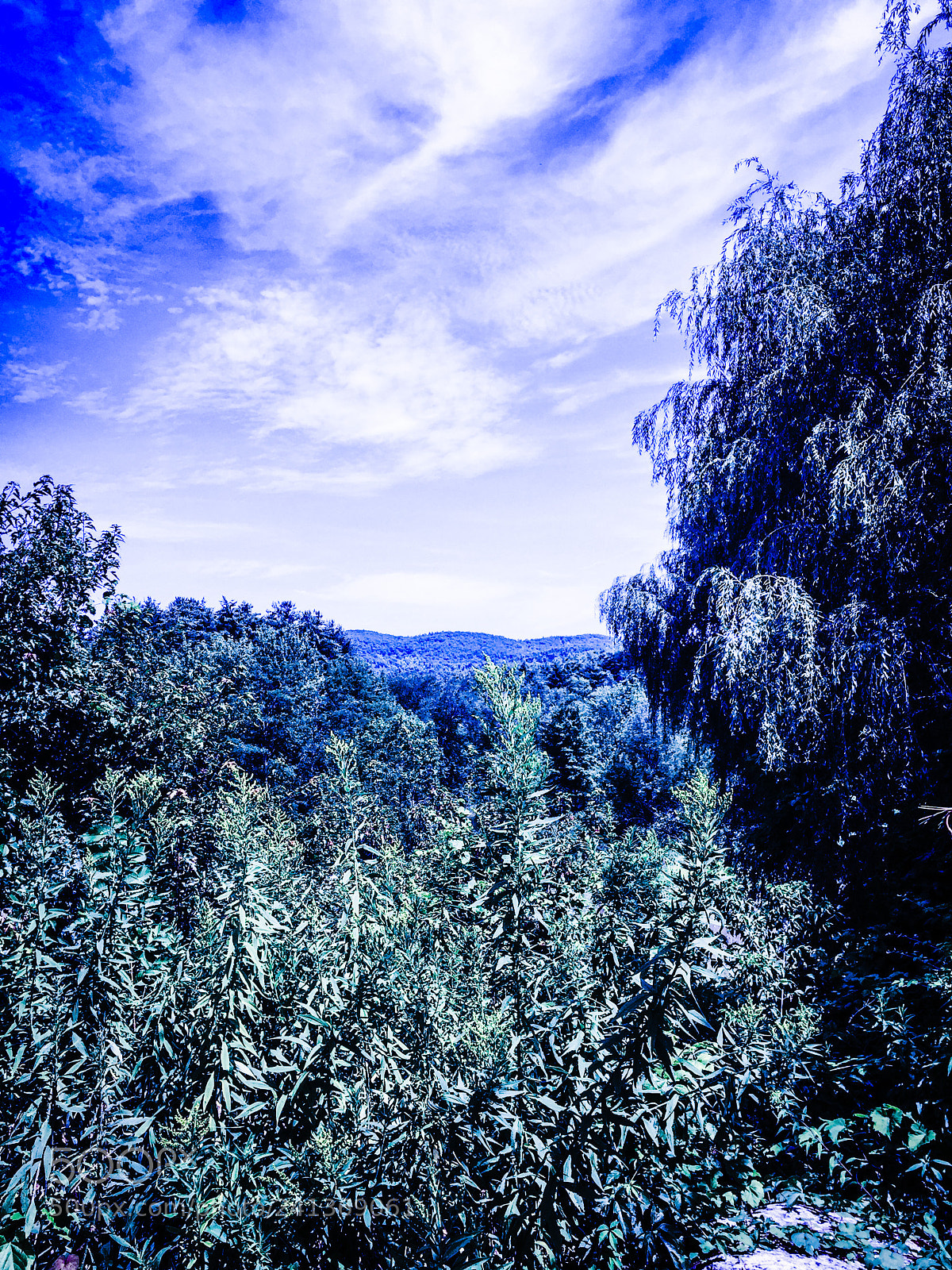 Apple iPhone 6 sample photo. Nature scenery photography