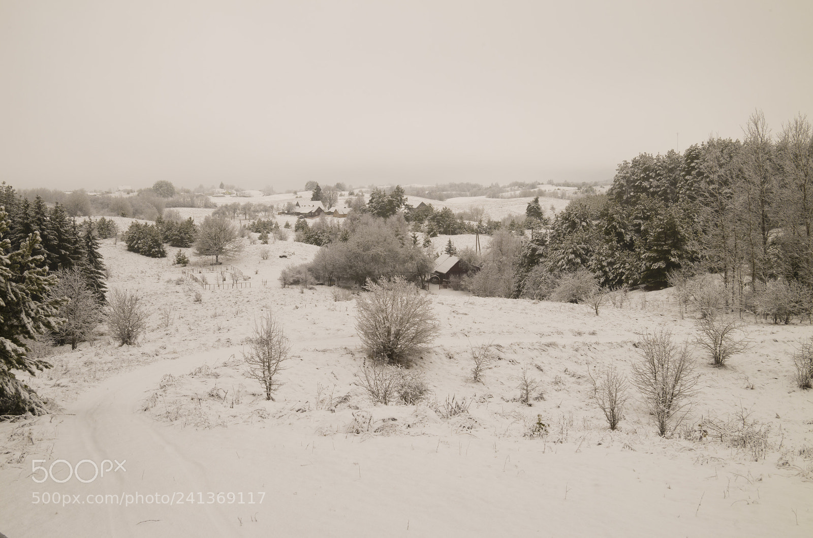 Pentax K-50 sample photo. Finally winter photography