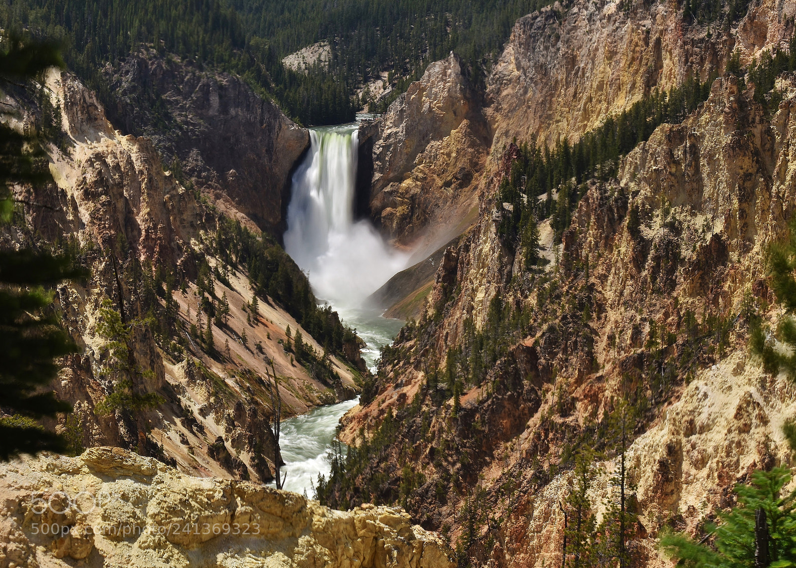 Nikon D5500 sample photo. Artist point photography