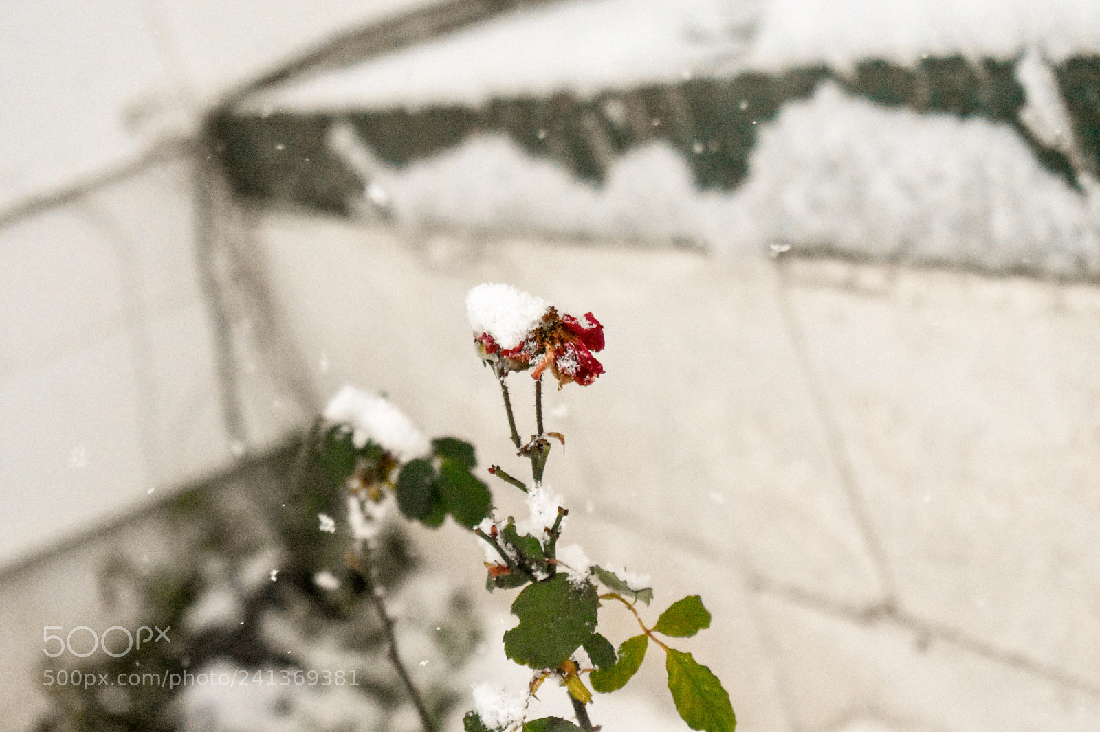Nikon D3400 sample photo. Almost photography