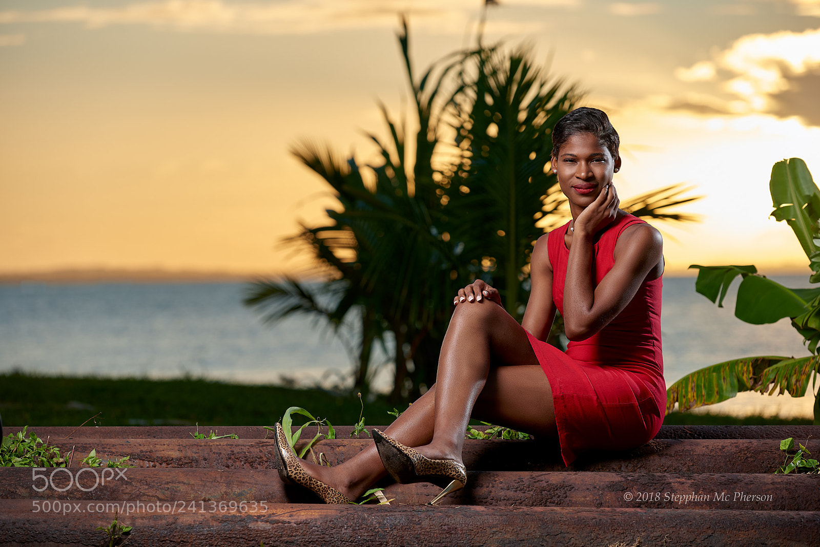 Nikon D810 sample photo. Red photography