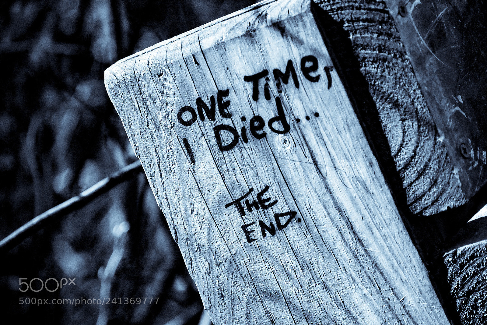 Nikon D3400 sample photo. The end. photography